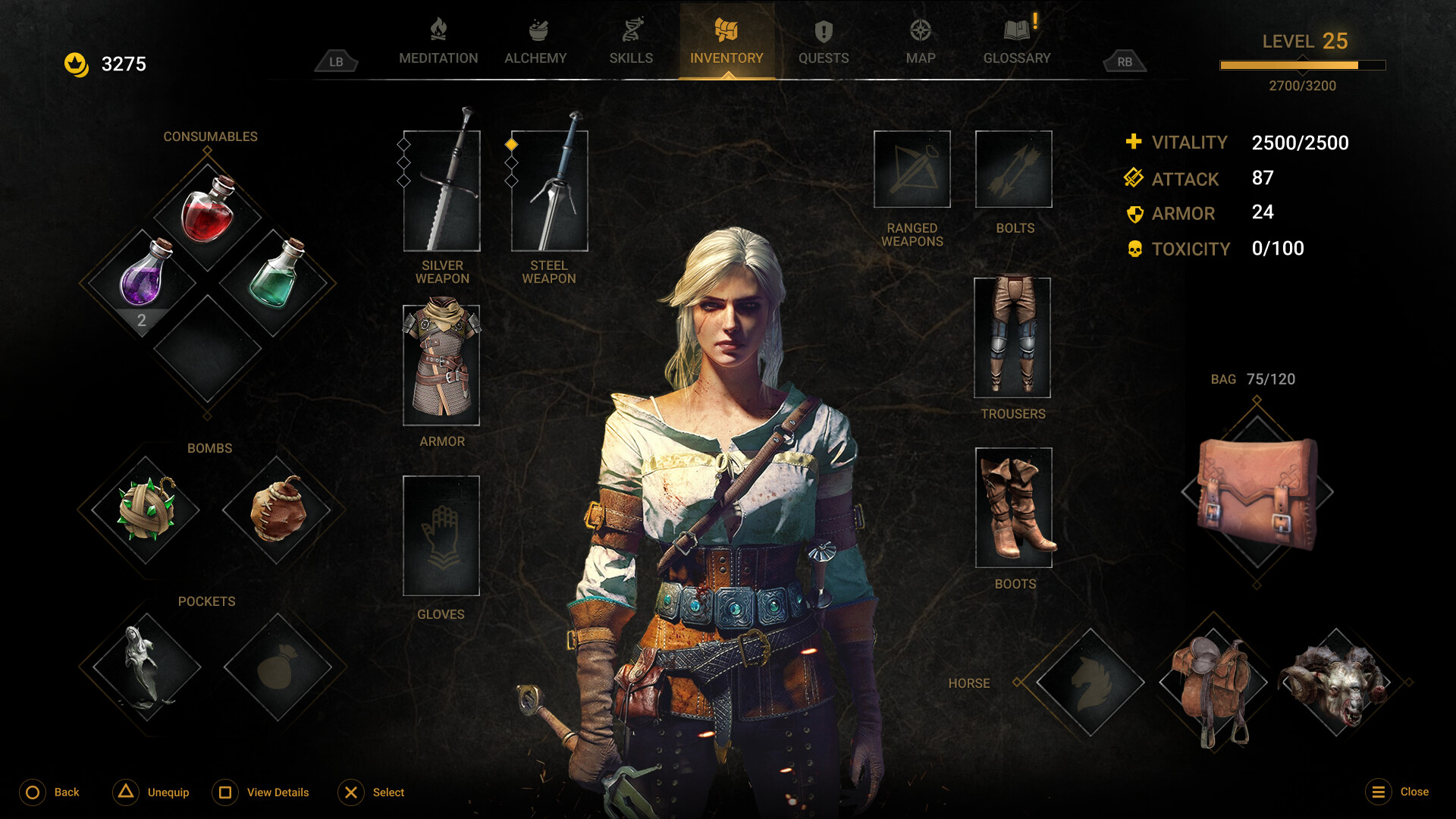 ArtStation The Witcher 4 (concept UI)
