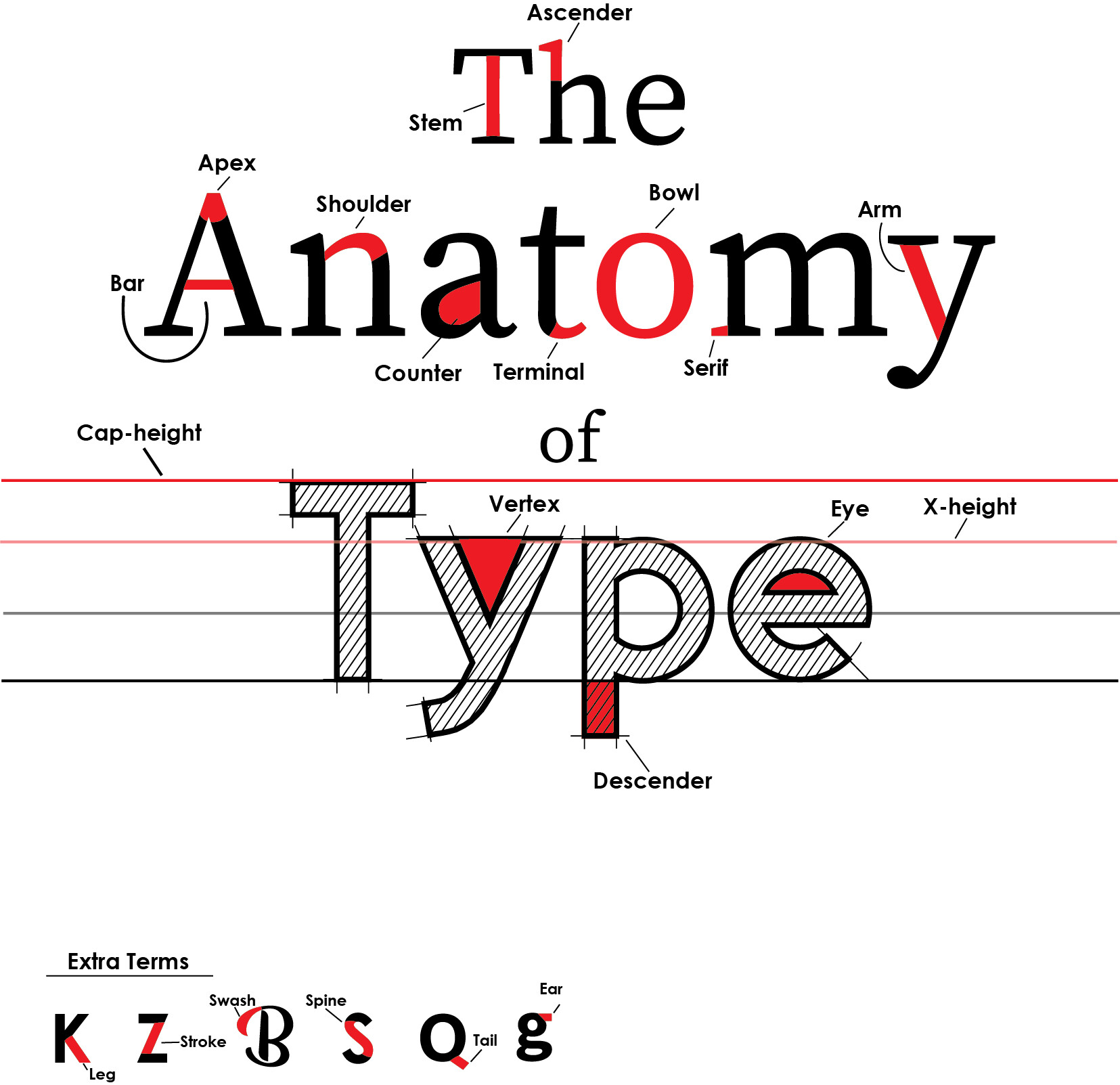 ArtStation Type anatomy poster