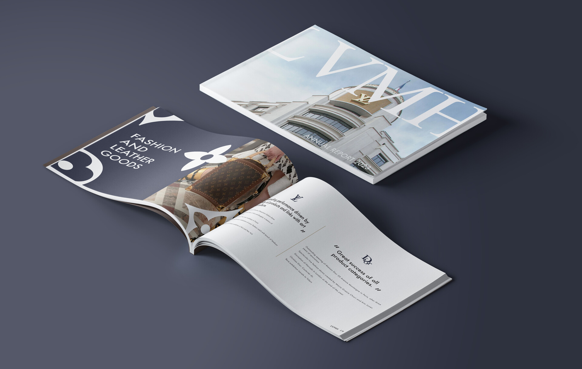 Image Art Direction and 3D graphics: LVMH annual report by Damien