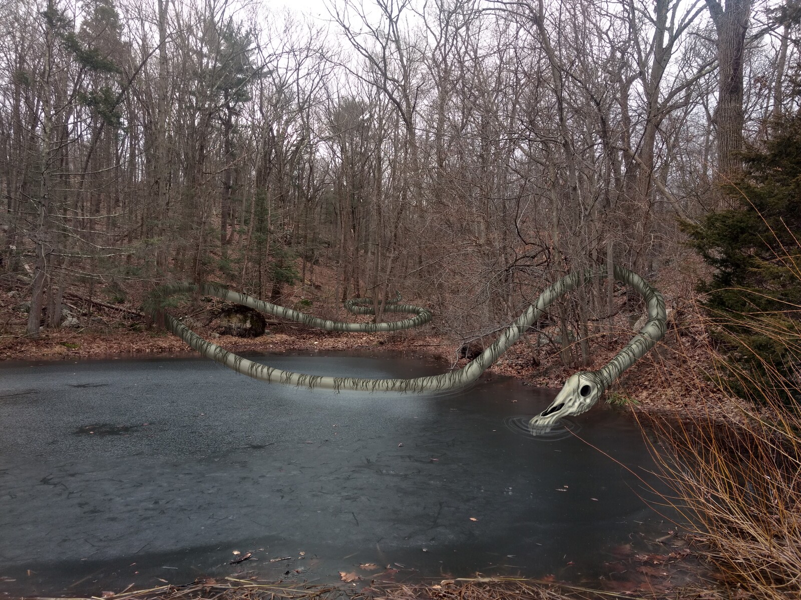 a pond in the middle of the woods. Long Horse extends from the background to dip its muzzle into the water.