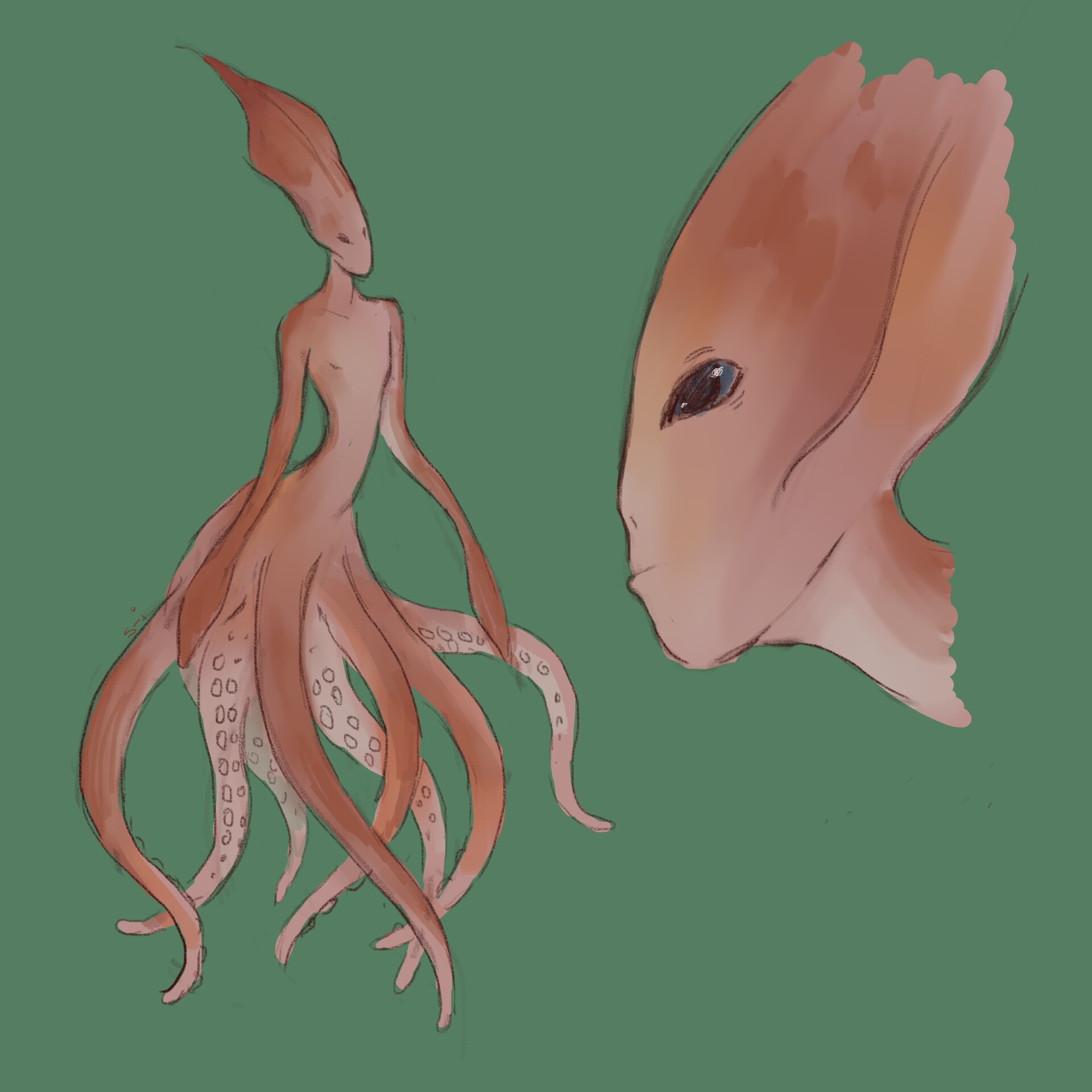 ArtStation - Squid