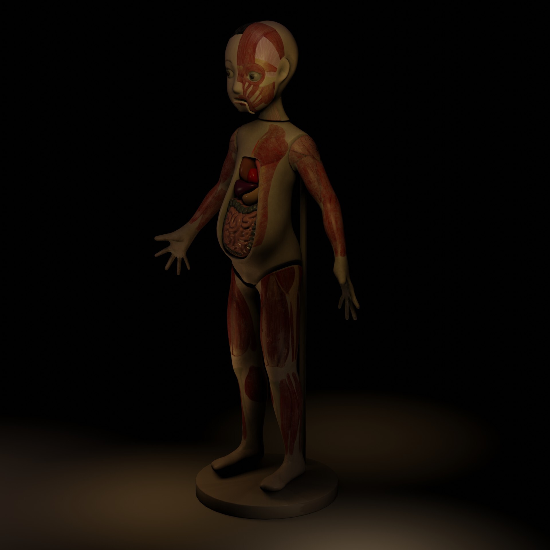 ArtStation anatomical model
