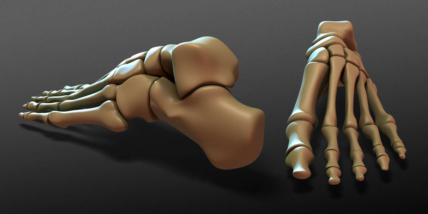 dinoreplicas-3d-model-works-foot-bones-render-03a.jpg