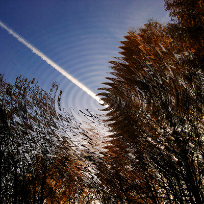 Sink into an Autumn