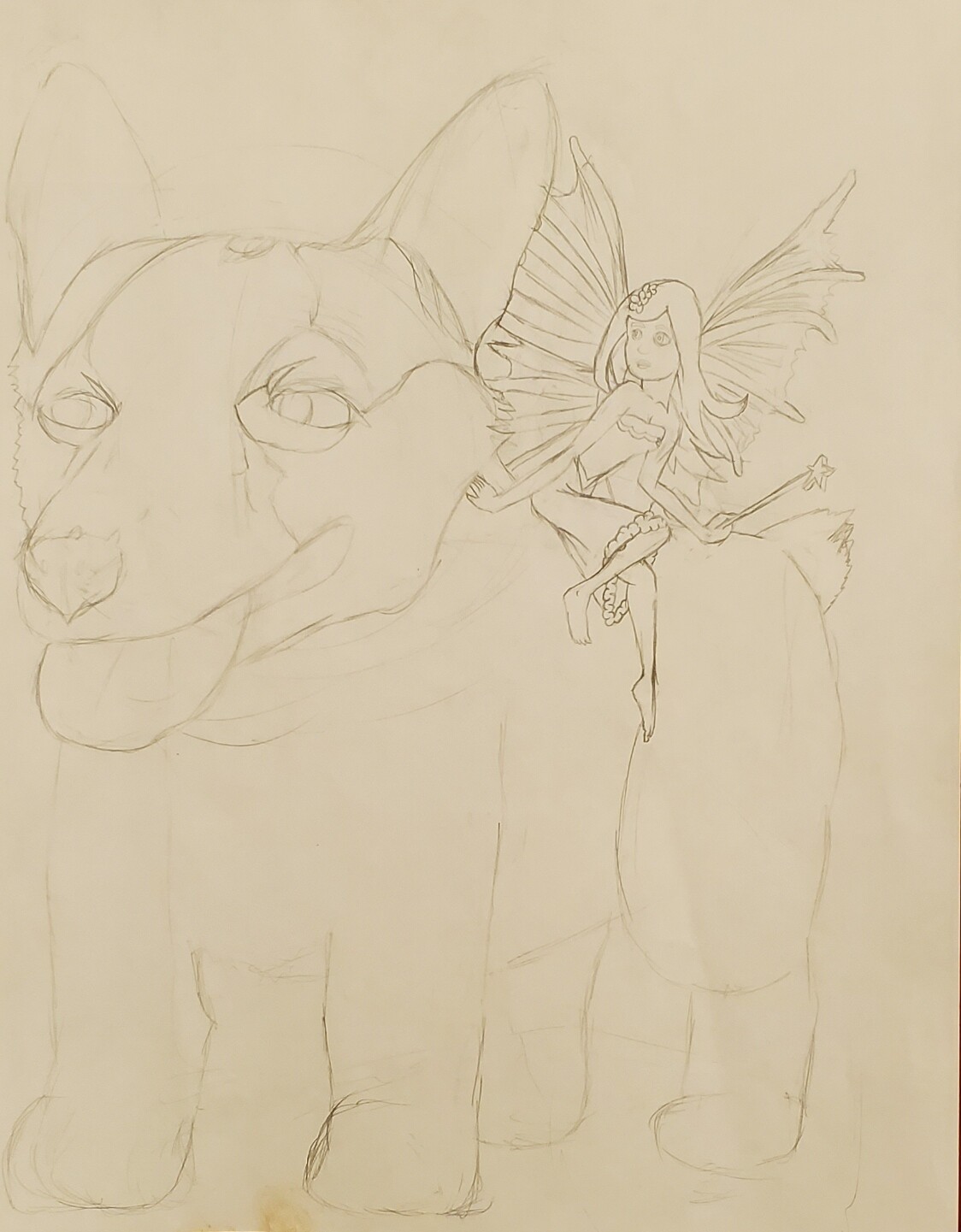 Fairy riding a corgi