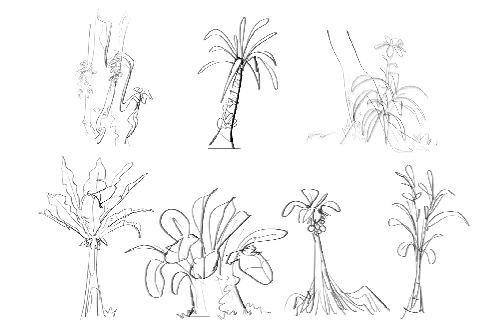 sketches