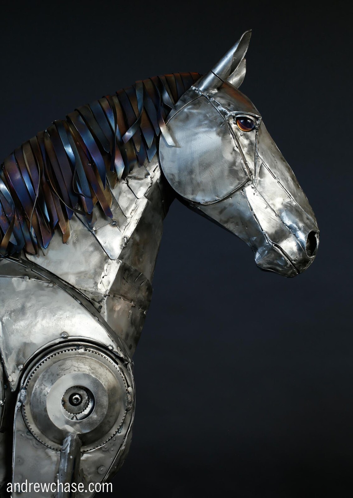 Clydesdale Horse closeup 3