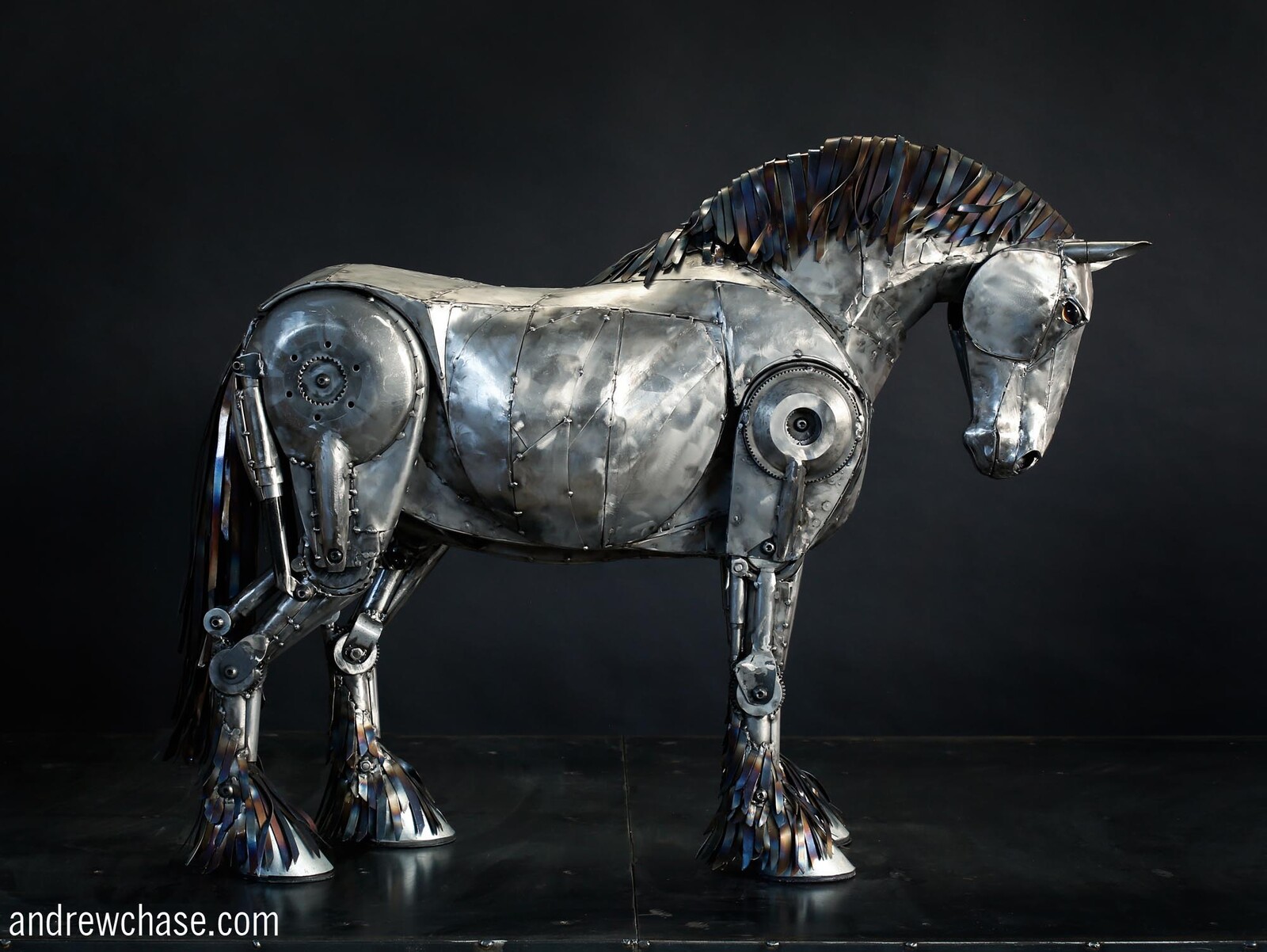 Clydesdale Horse side view 2