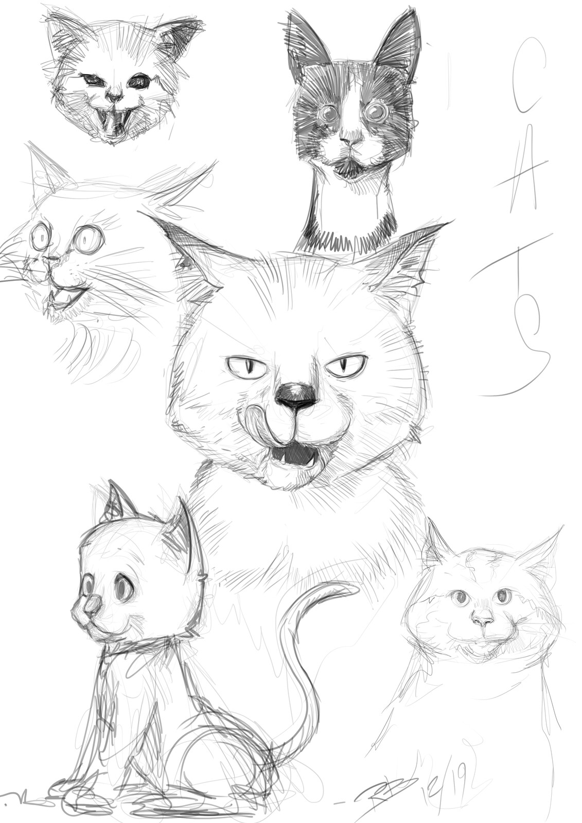 Croquis autour sur les chats
