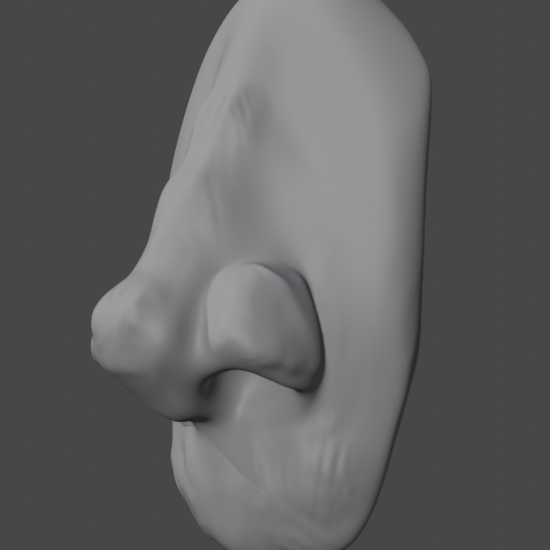 ArtStation Nose Sculpt Blender