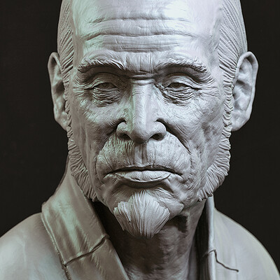Maarten verhoeven fukumoto c