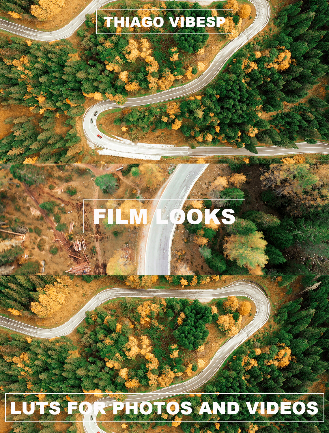 Thiago Vibesp Cinematic Film LUTs Tones For Photos And Videos Thiago Vibesp Cinematic Film LUTs Tones For Photos And Videos