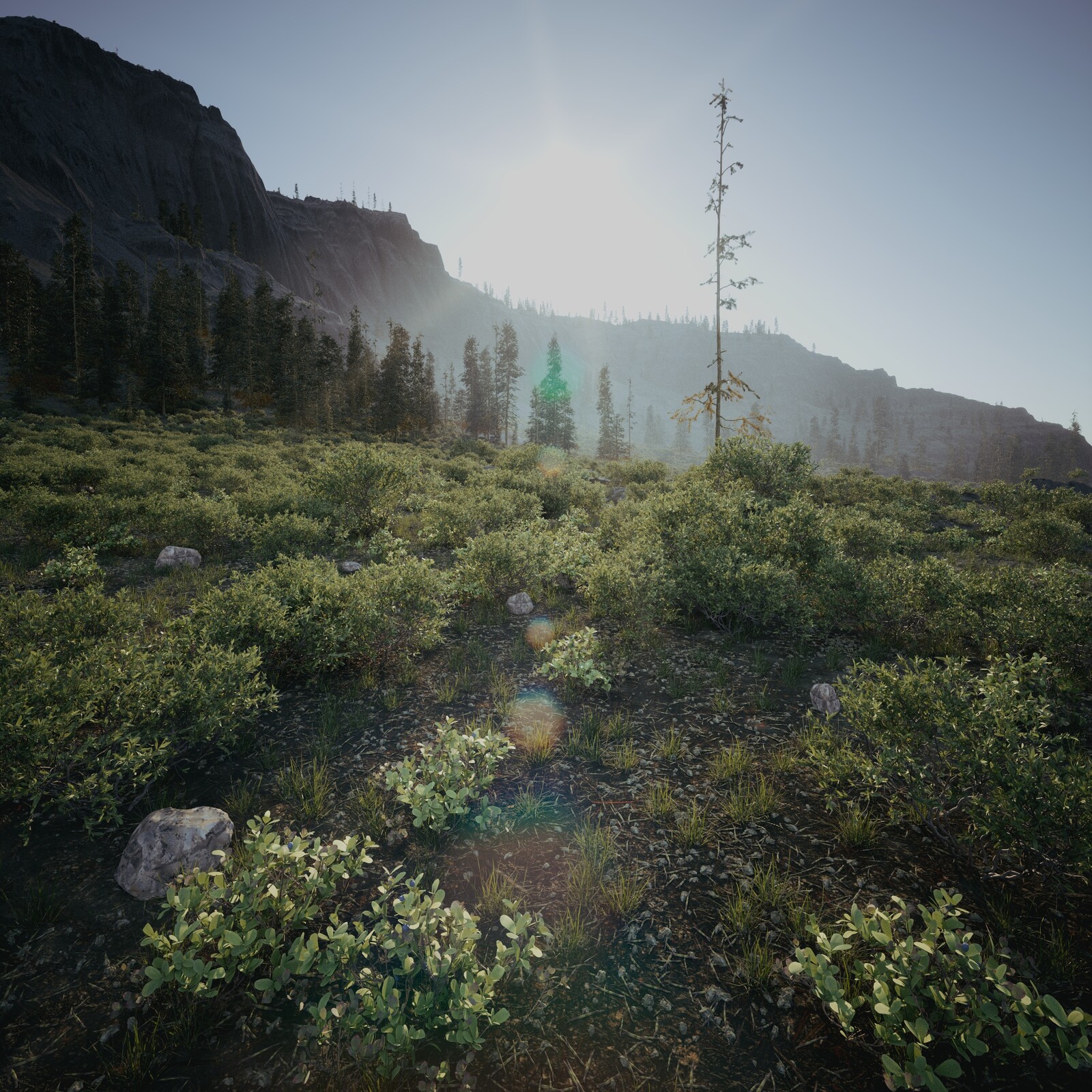 Landscapes