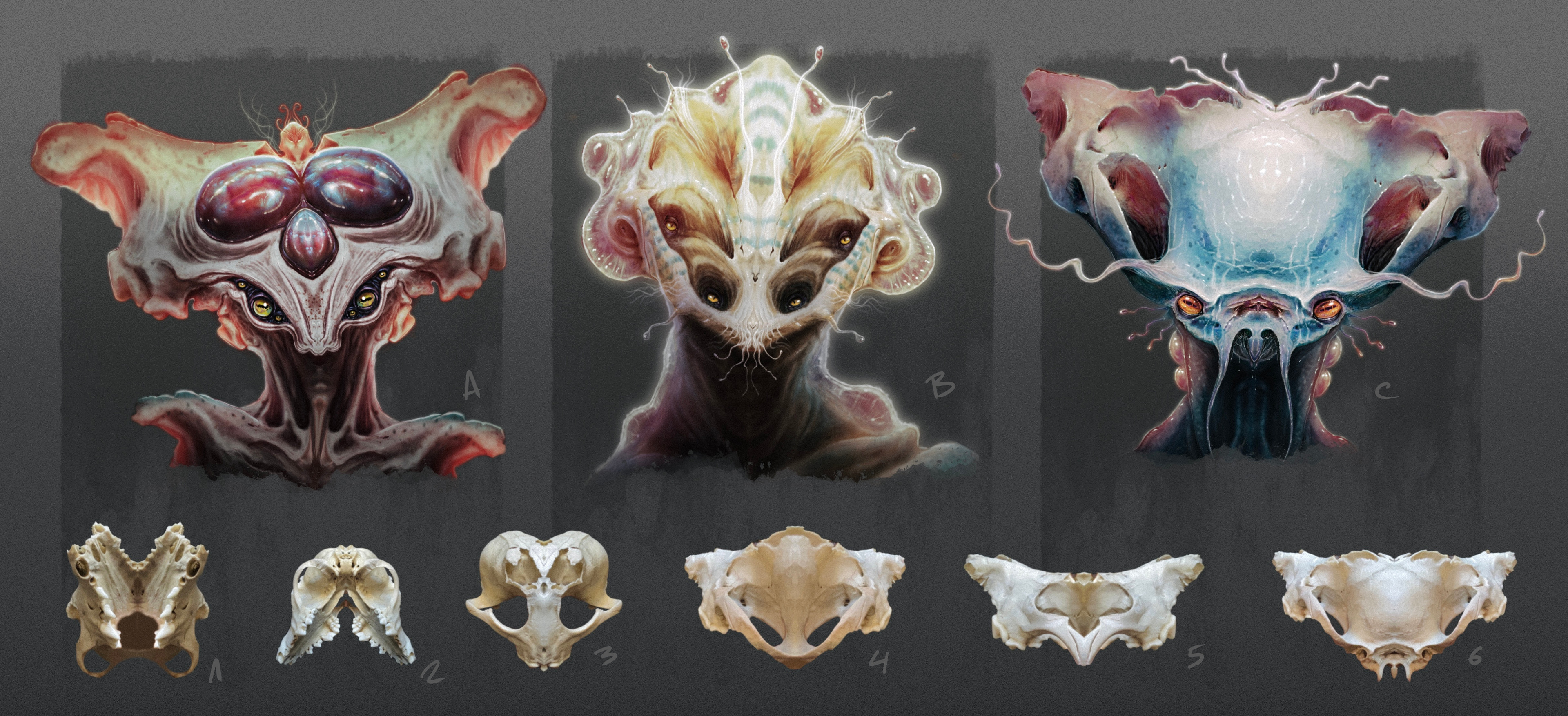 Designs and mirror skulls explorations