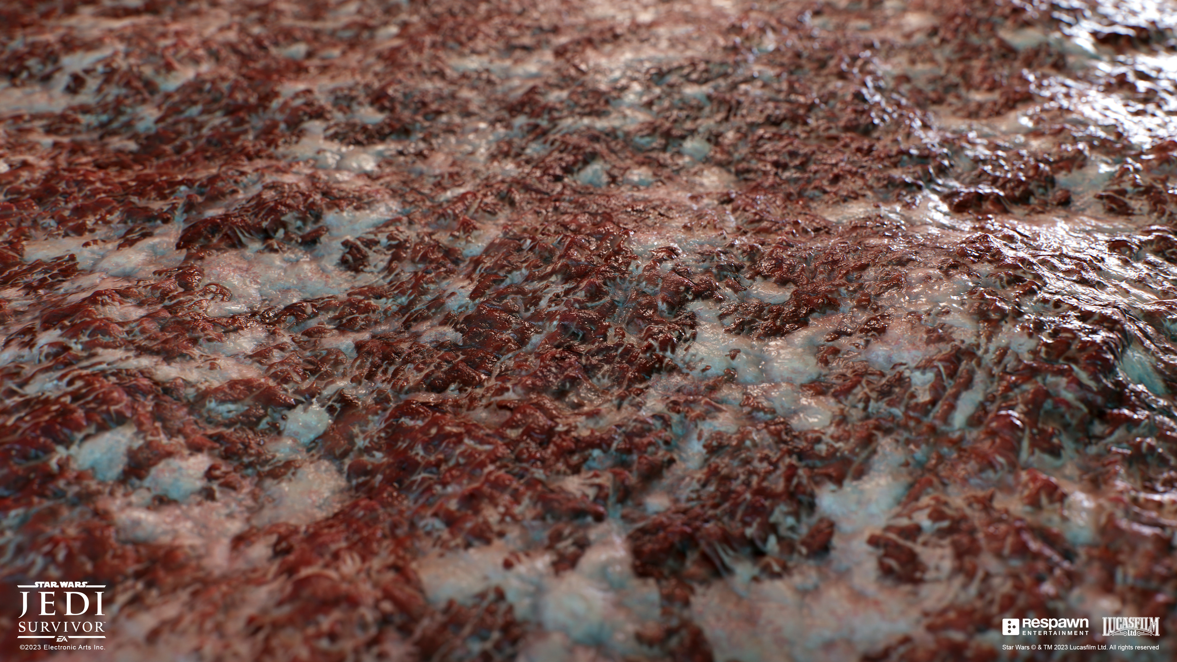 merritt-filban-meat-muscle-01-plane-merrittfilban.jpg (3840×2160)-花瓣网