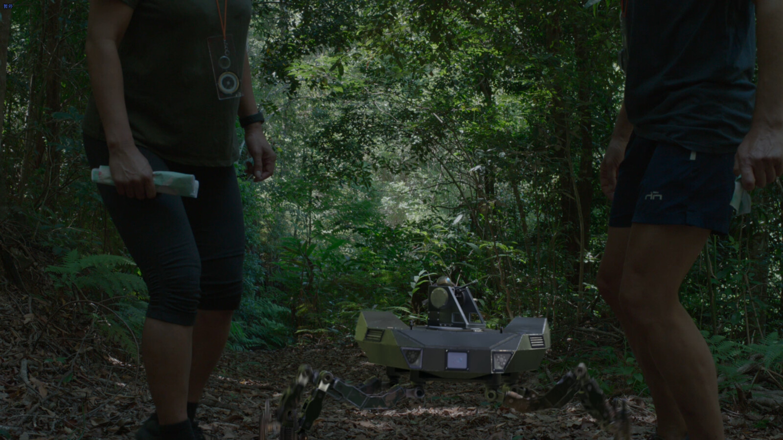 Layout, FX, Lighting&amp;Rendering and Compositing, it is without colour grading
