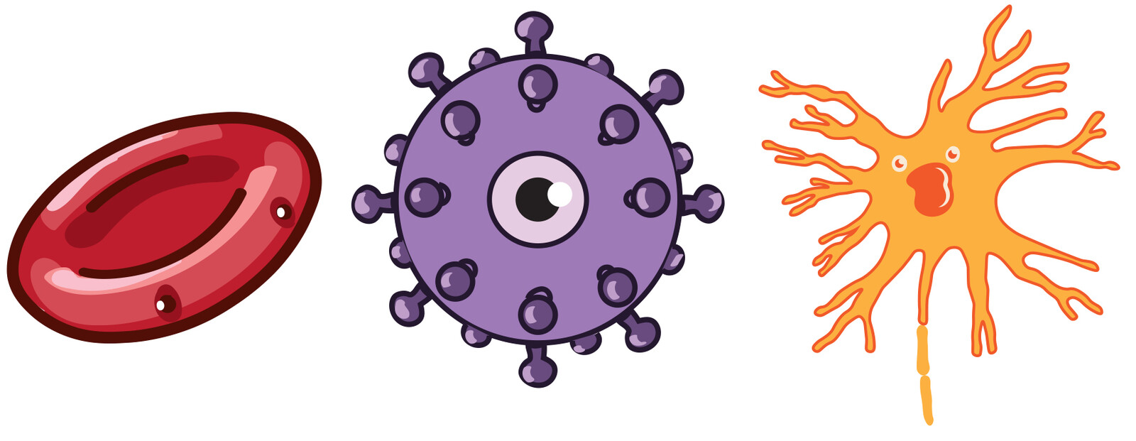 Red blood cell, virus and nerve cell.
