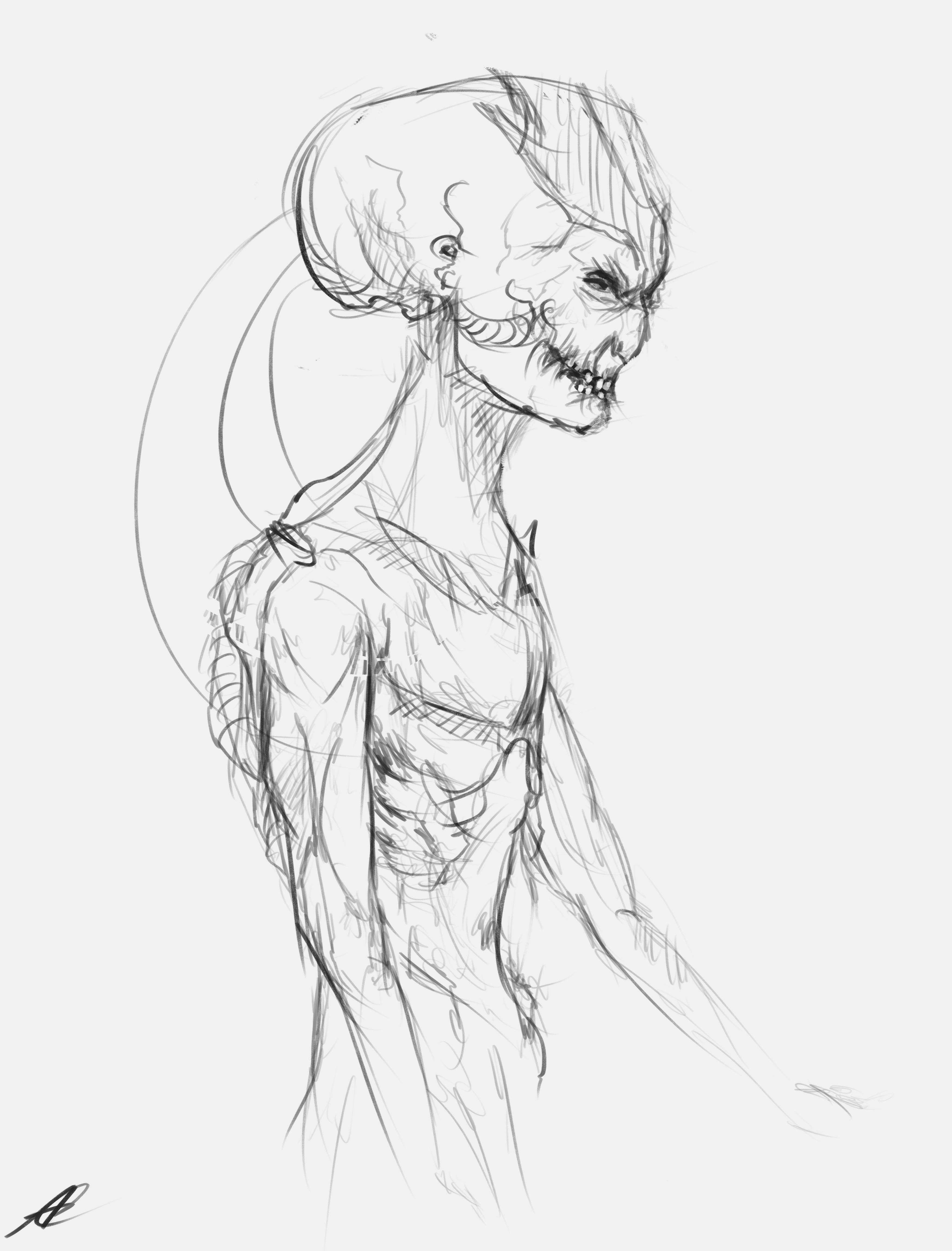 Rough Sketch