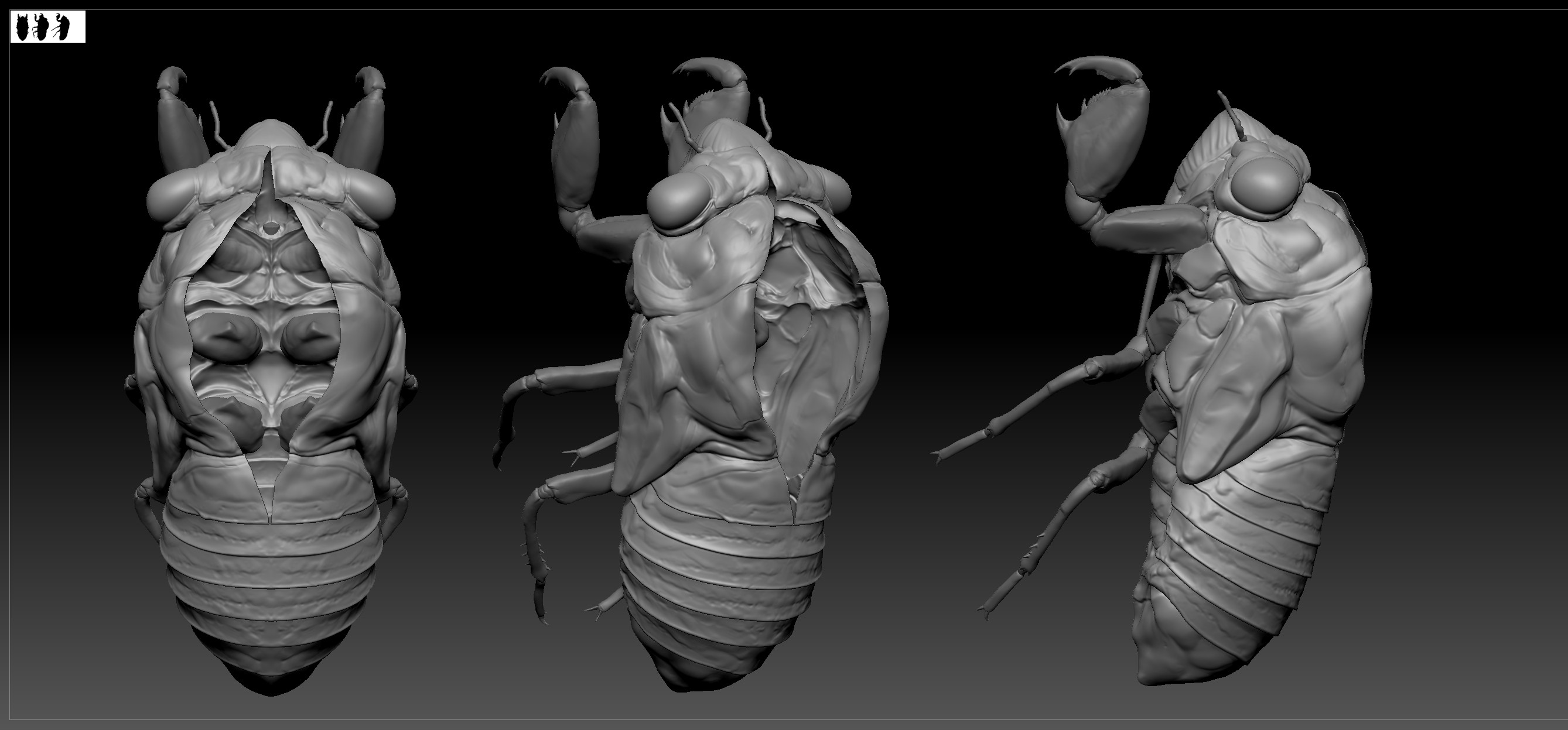 WIP Cicada shell Zbrush sculpts