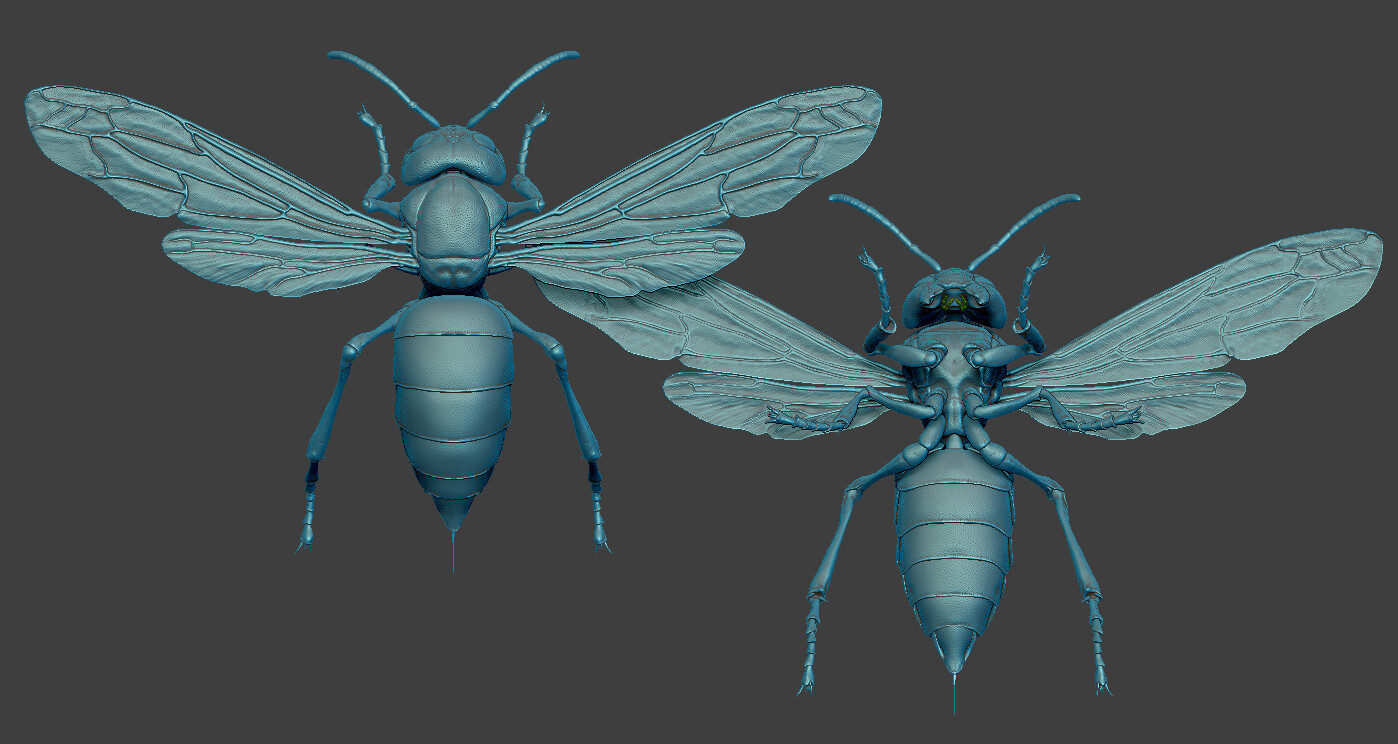 ZBrush render of my original Japanese hornet model. Have to sculpt the insect first before making the jewelry design,