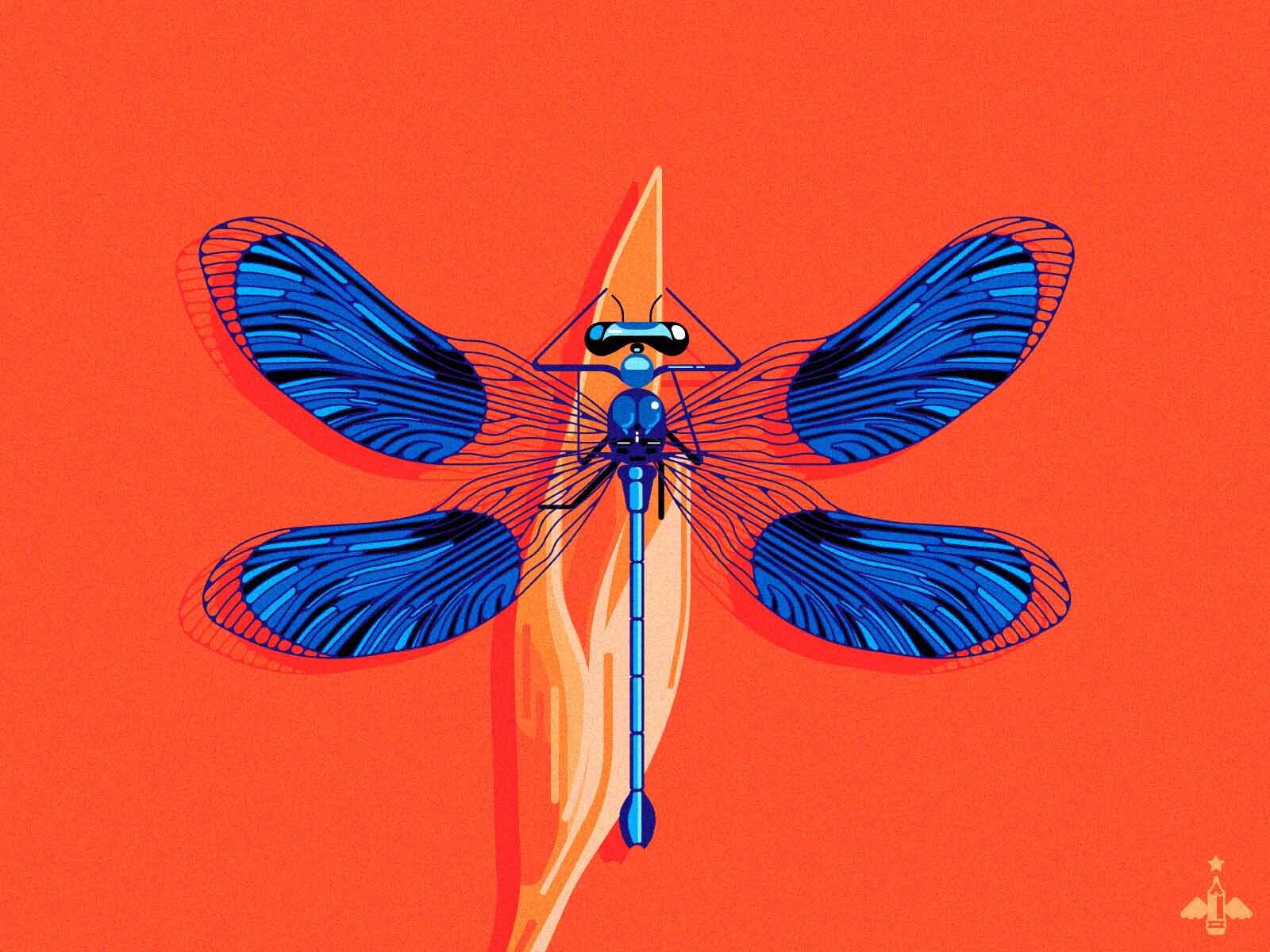 Firefly