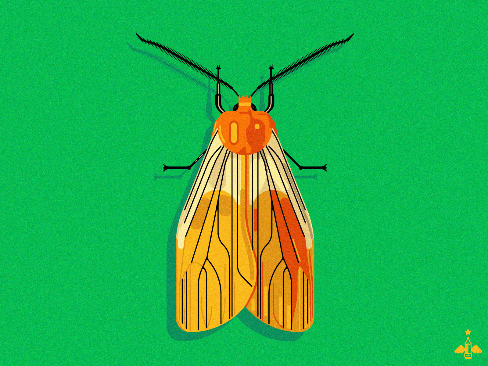 Moth