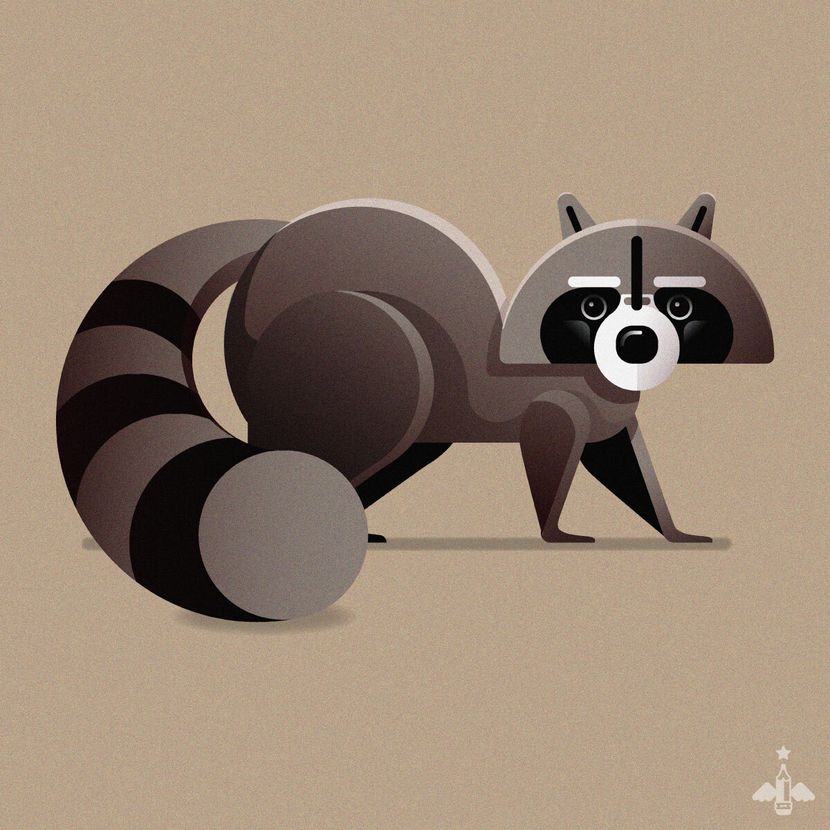 Racoon