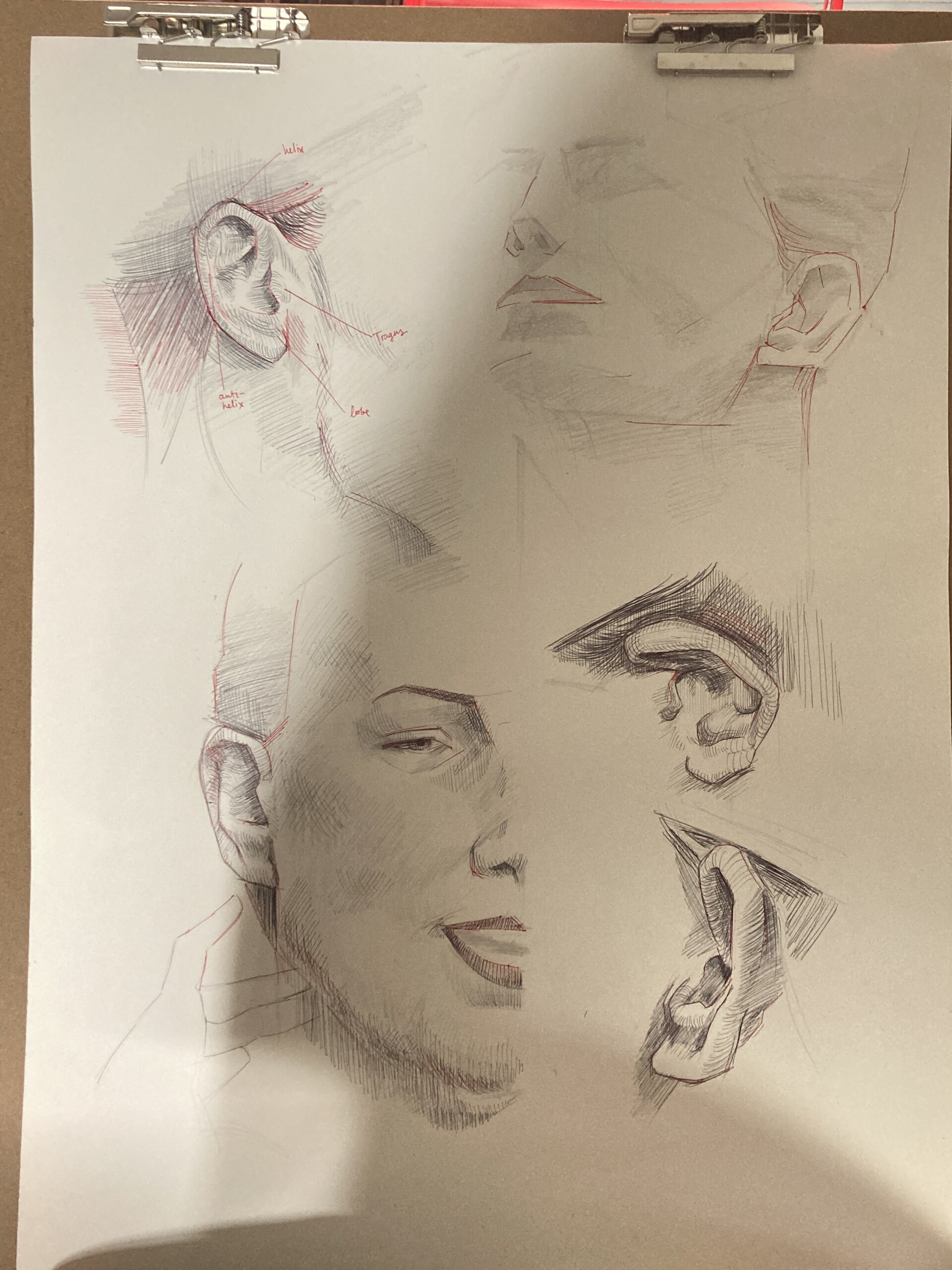 ArtStation - Summer school ear studies