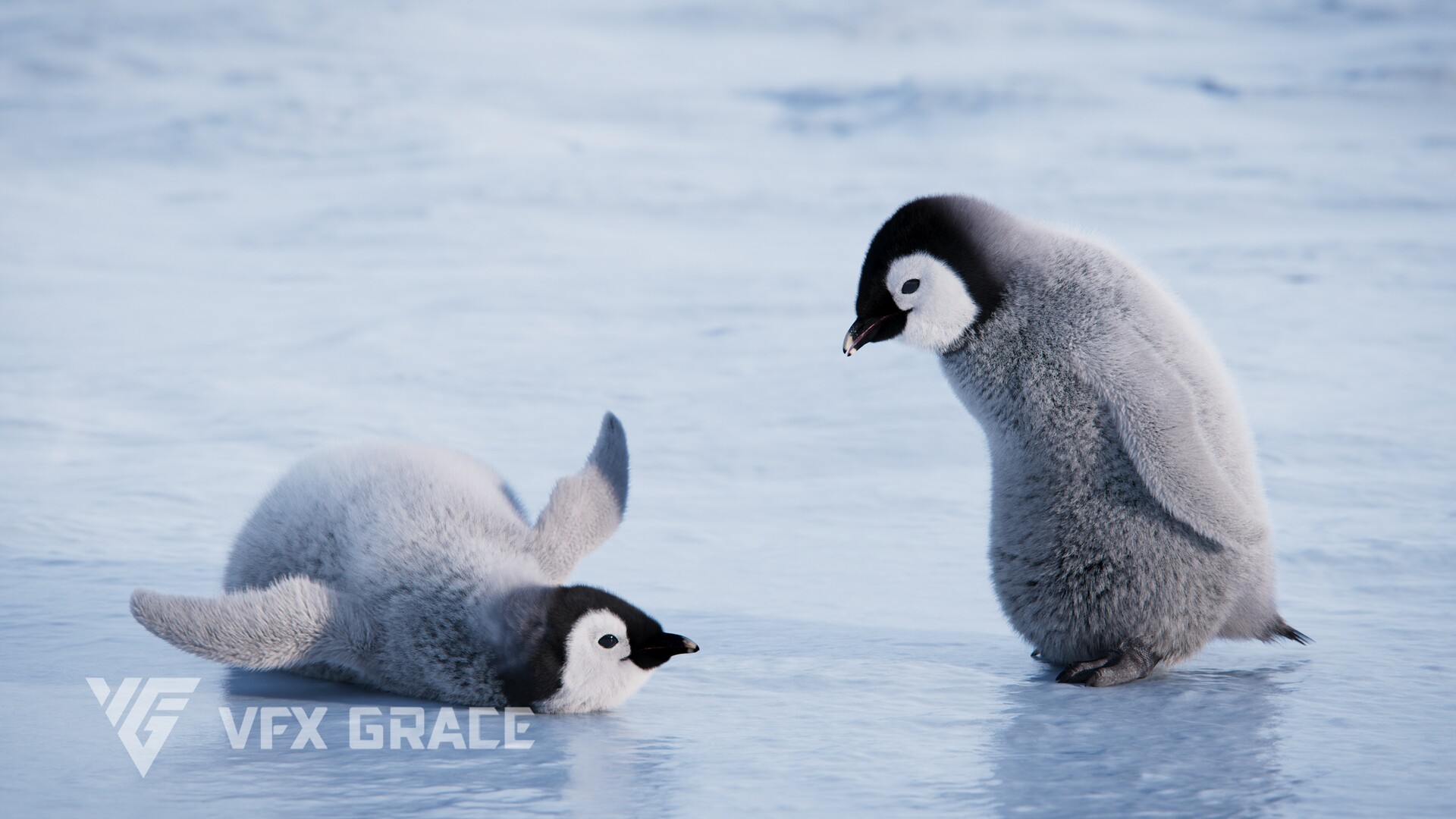 ArtStation - Baby Emperor Penguin Animated