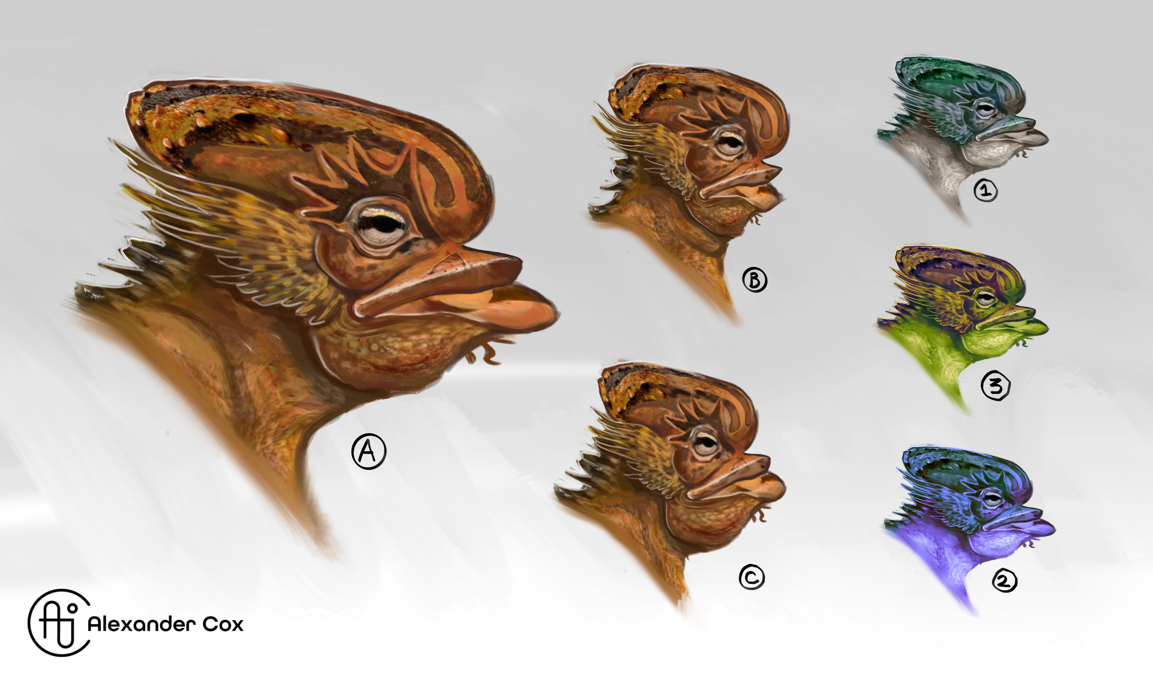 Head Exploration- When starting a design I often start with the head first. It is an easy way to establish the overall form language of an alien creature which can then be built upon from there