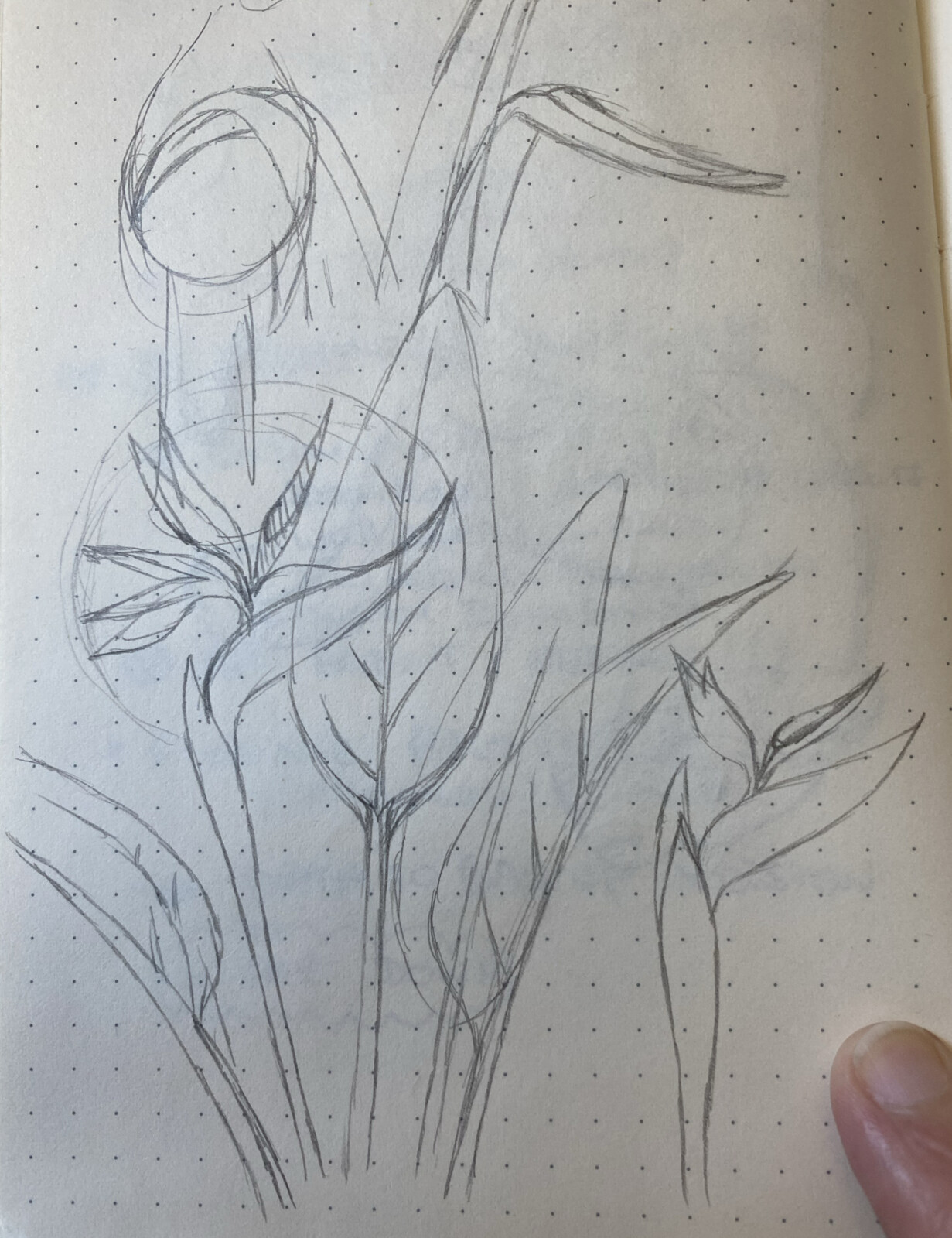Some preliminary ideas...