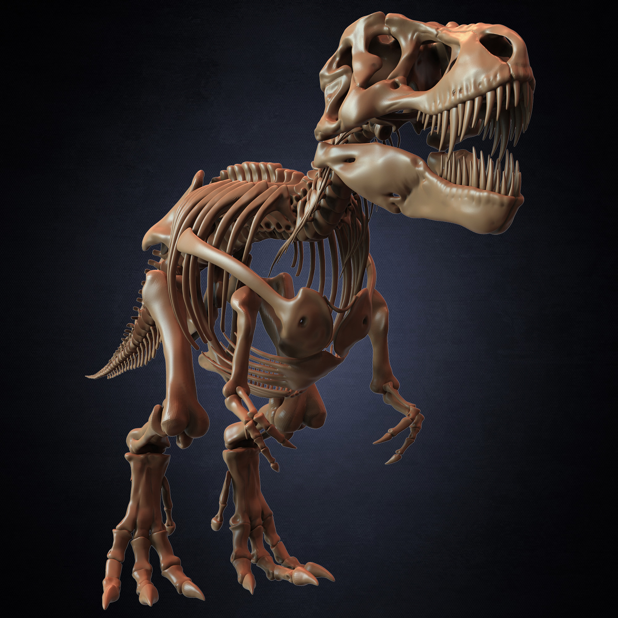 T-Rex Skeleton 3D Model (Tyrannosaurus Rex) Sculpted By Yacine BRINIS Set 001