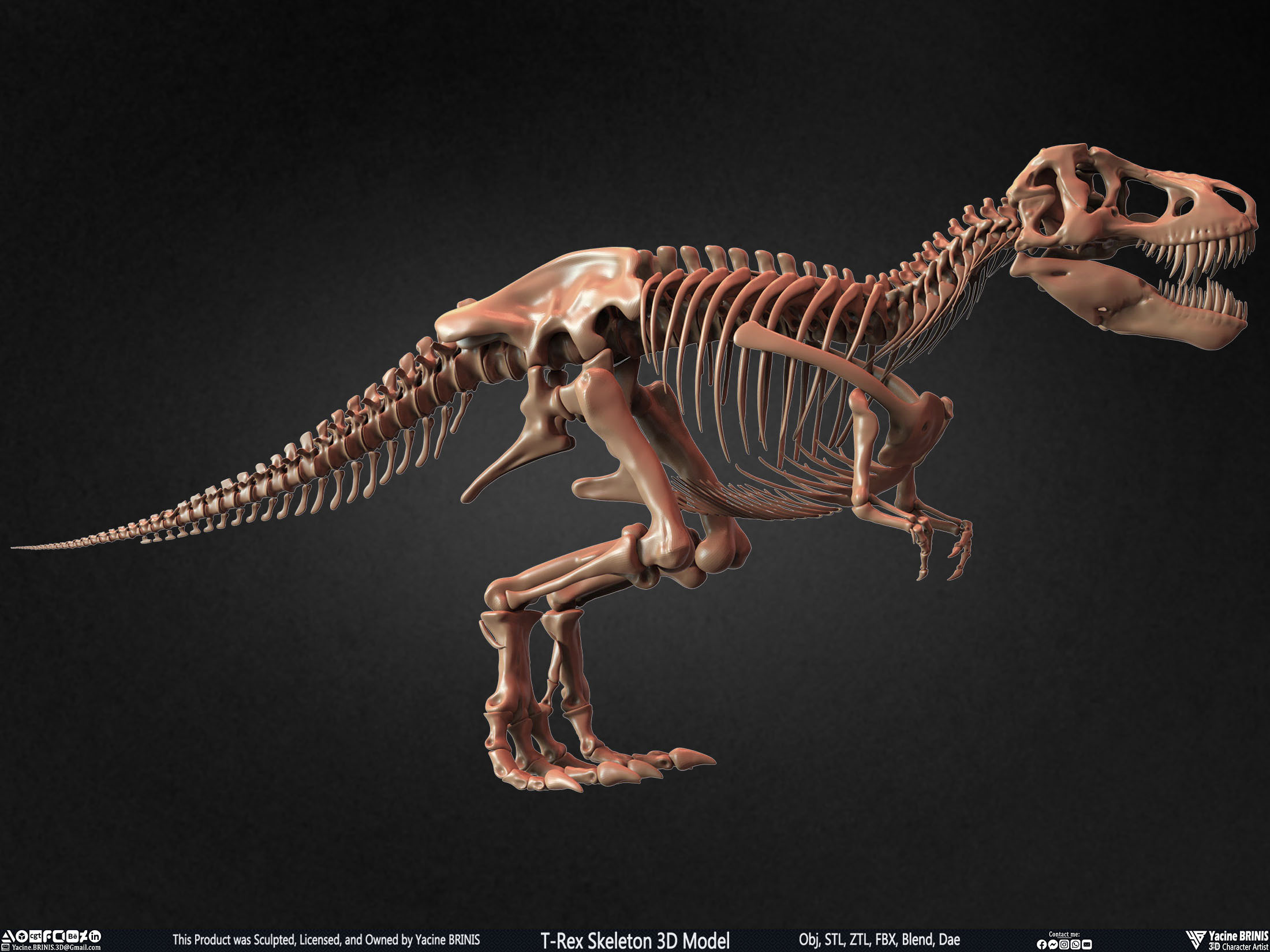 T-Rex Skeleton 3D Model (Tyrannosaurus Rex) Sculpted By Yacine BRINIS Set 006