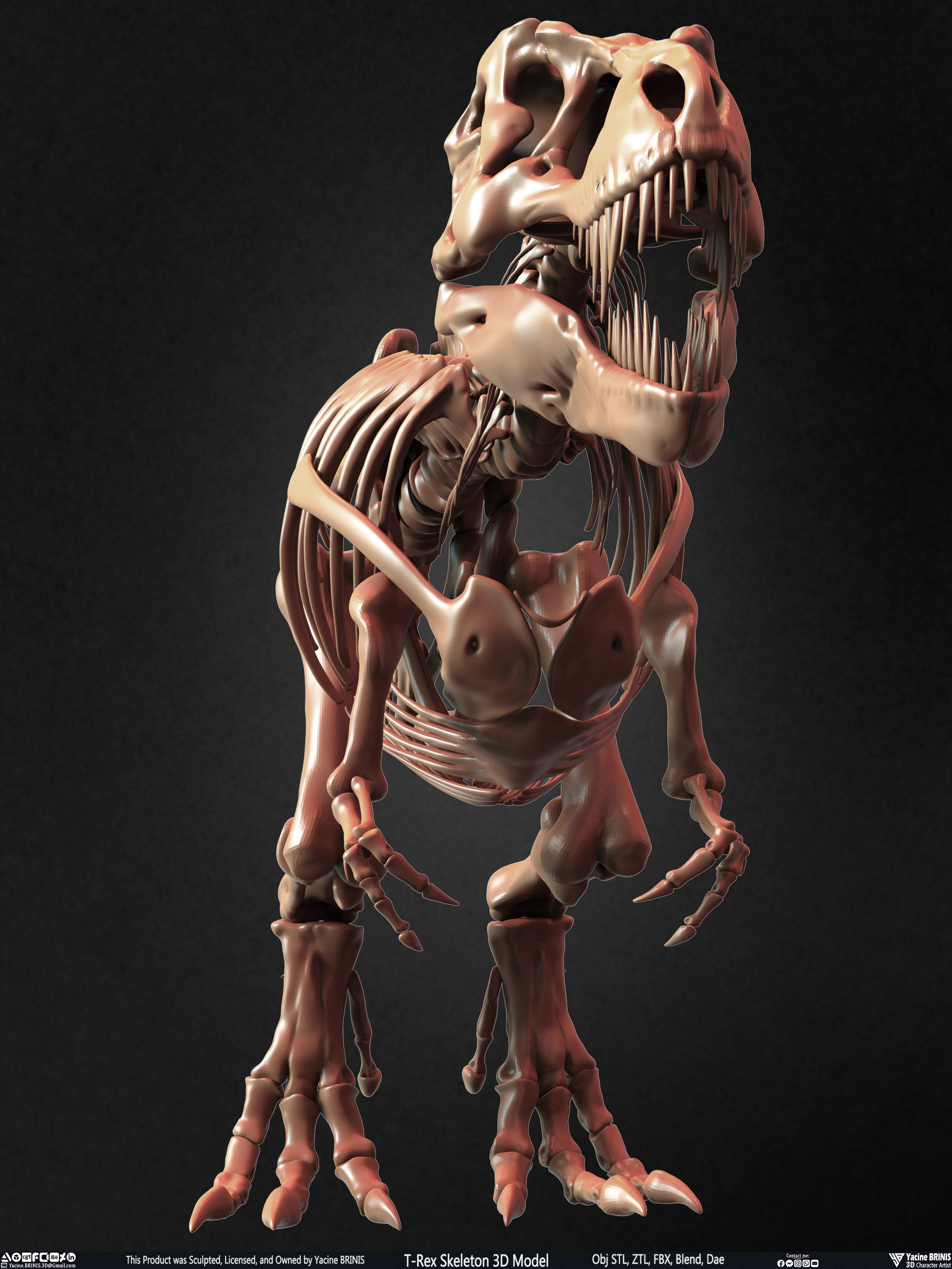 T-Rex Skeleton 3D Model (Tyrannosaurus Rex) Sculpted By Yacine BRINIS Set 016