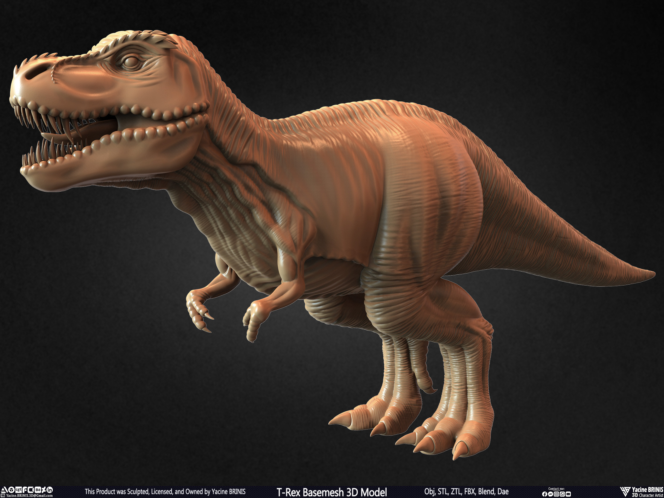 T-Rex Basemesh 3D Model (Tyrannosaurus Rex) Sculpted By Yacine BRINIS Set 009