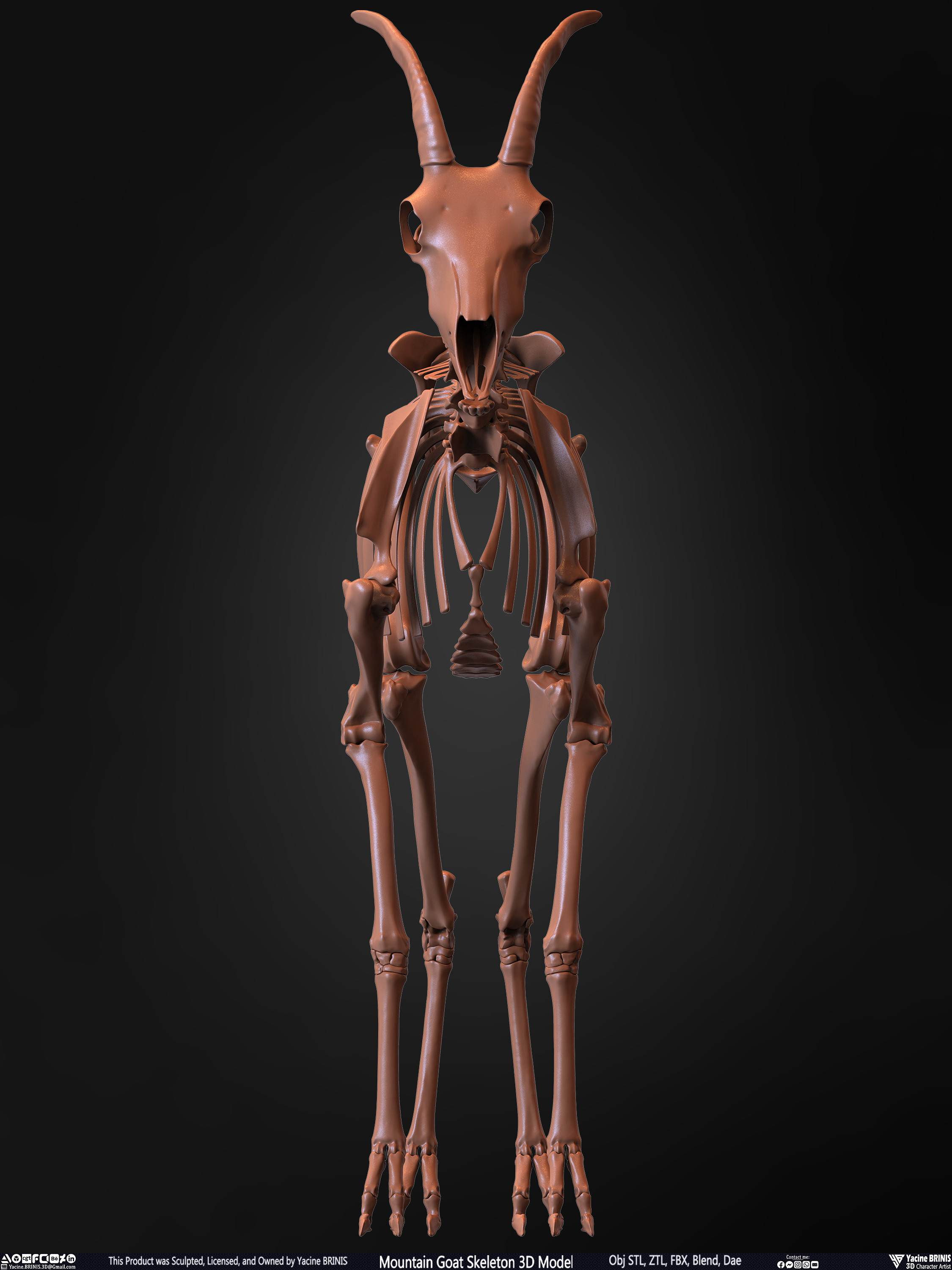 Mountain Goat Skeleton 3D Model Sculpted by Yacine BRINIS Set 004