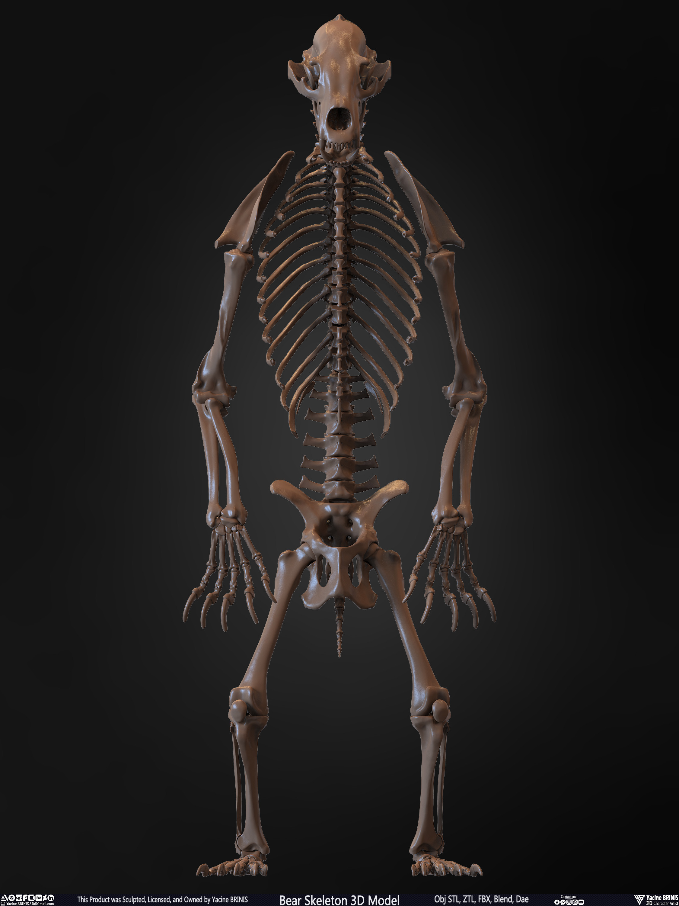 Bear Skeleton 3D Model Sculpted by Yacine BRINIS Set 005
