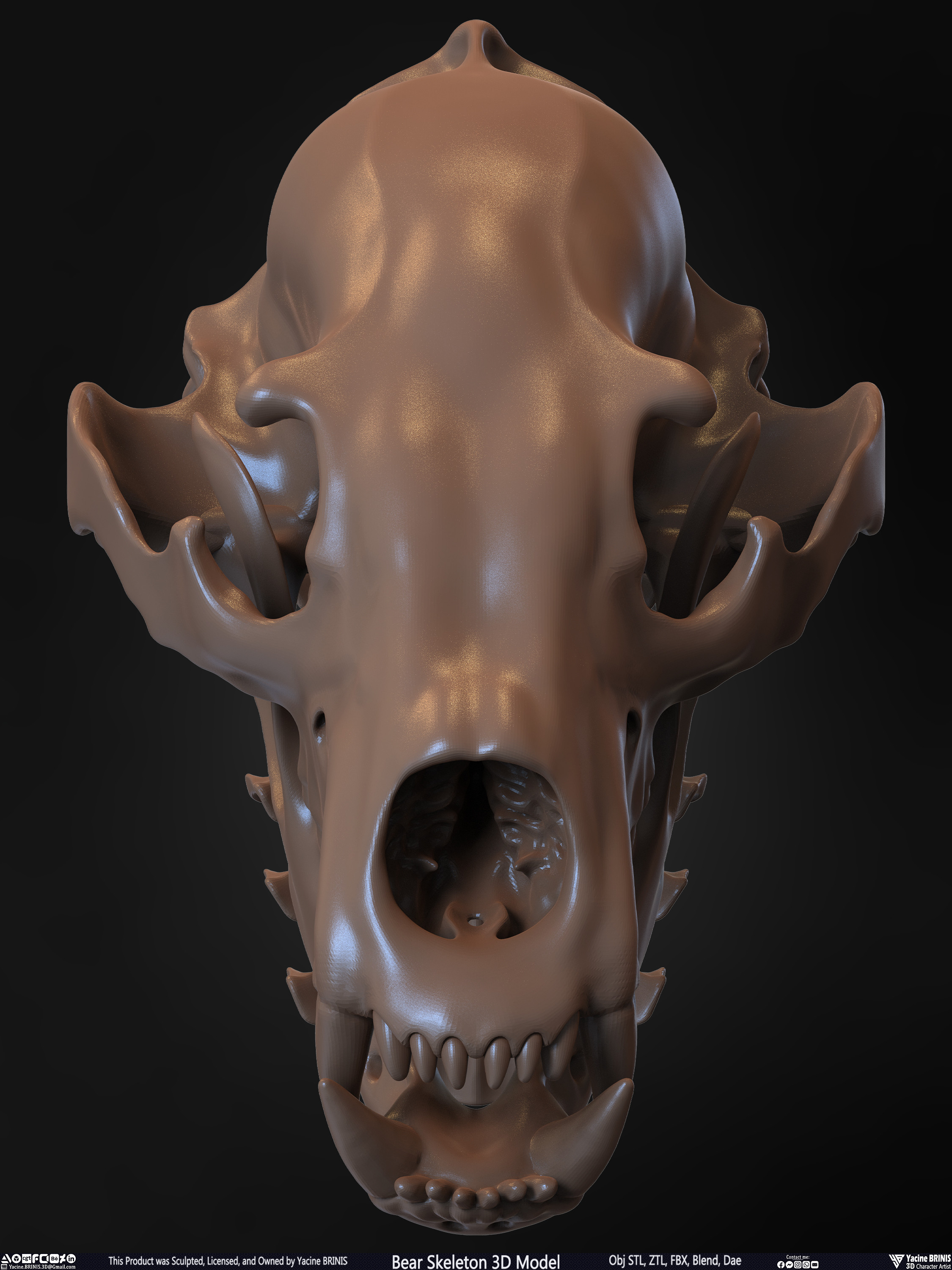 Bear Skeleton 3D Model Sculpted by Yacine BRINIS Set 030