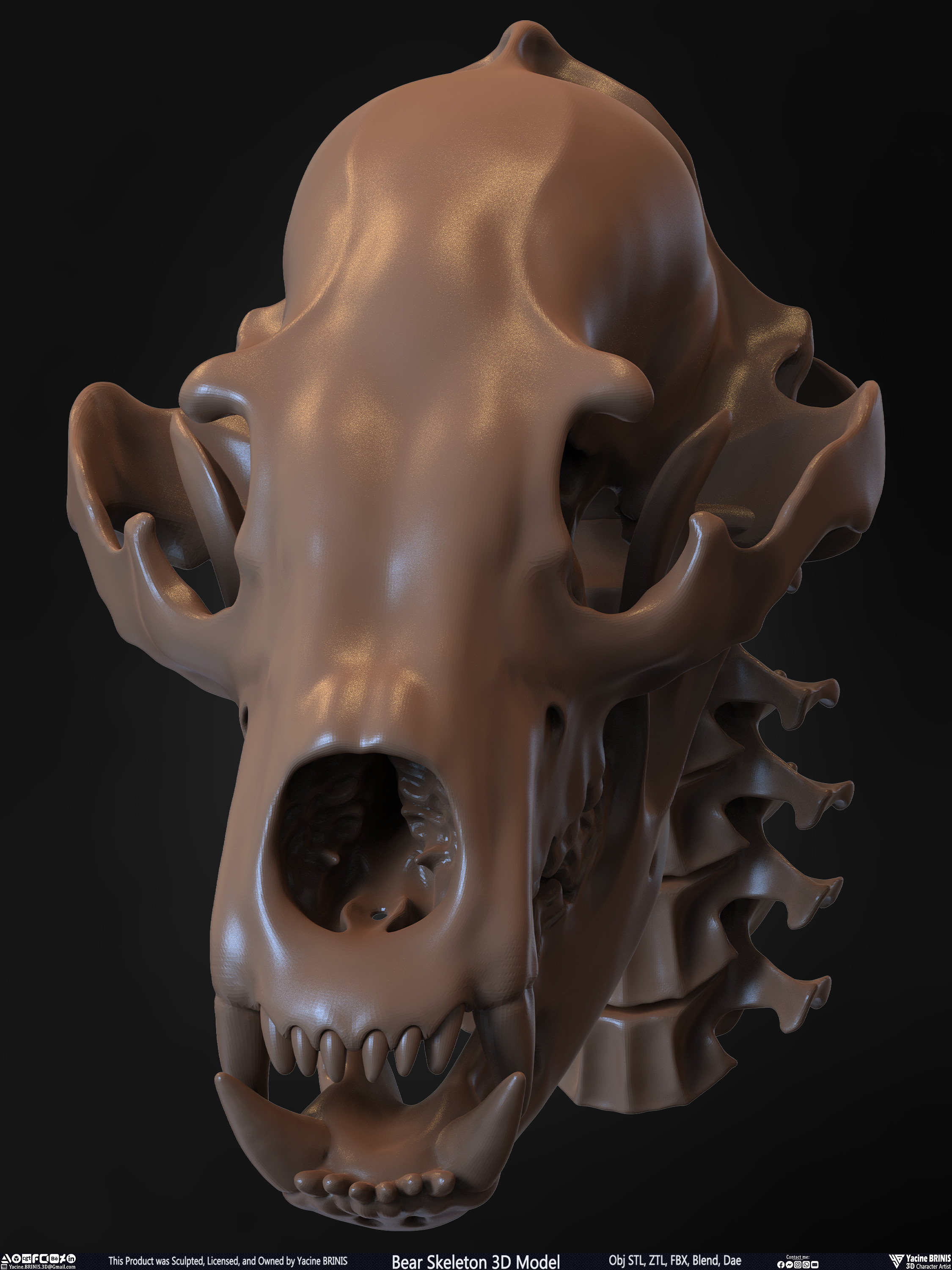 Bear Skeleton 3D Model Sculpted by Yacine BRINIS Set 031