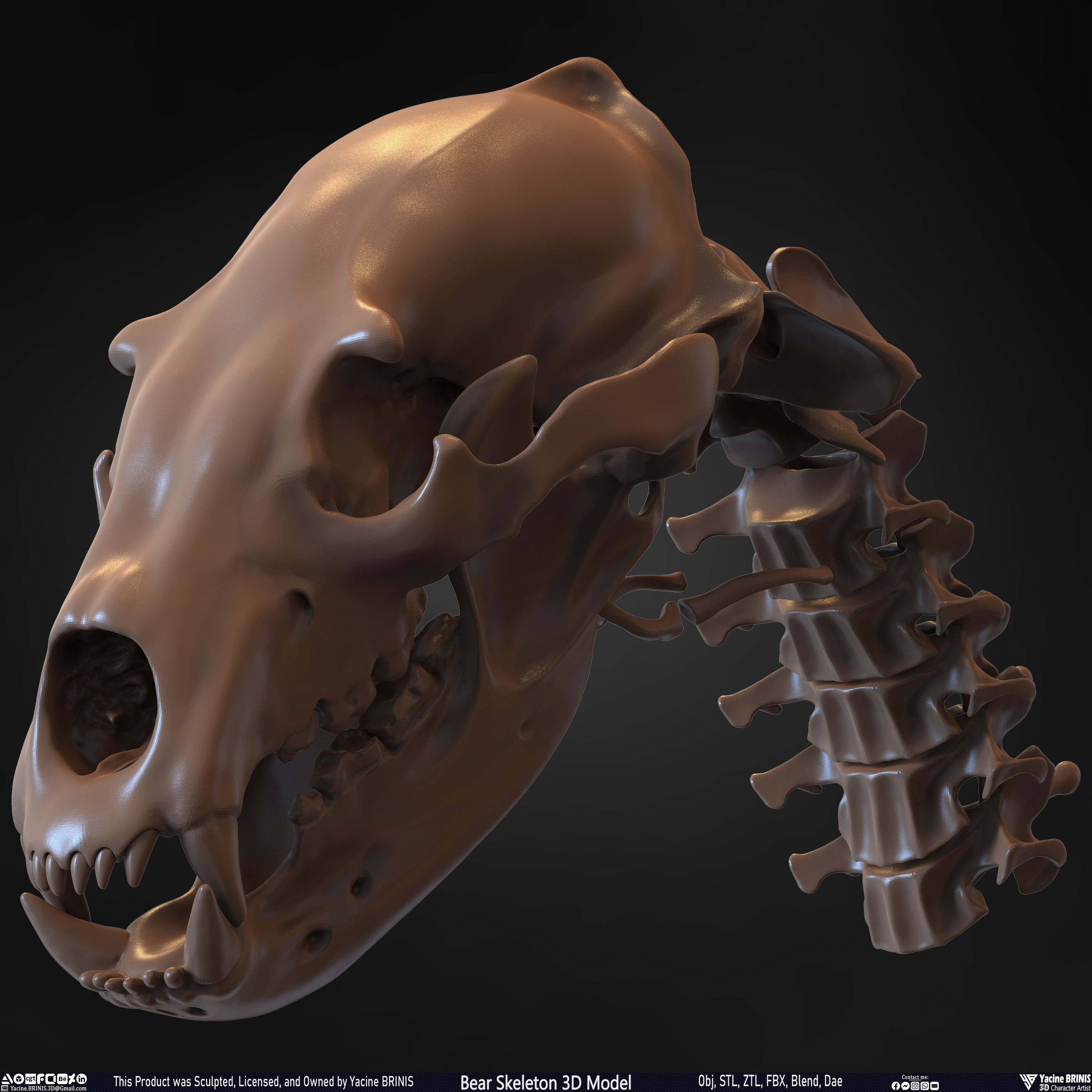 Bear Skeleton 3D Model Sculpted by Yacine BRINIS Set 032