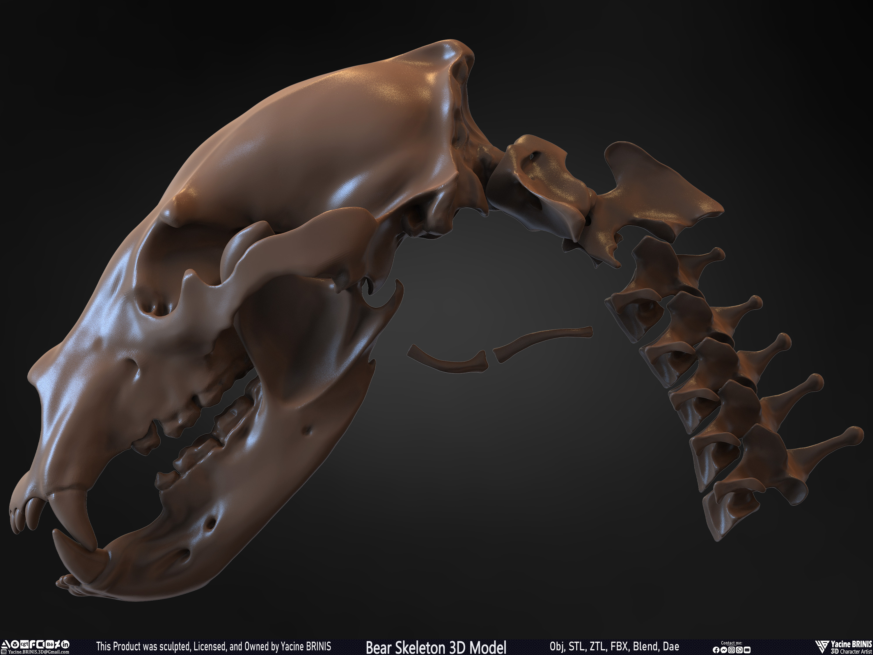 Bear Skeleton 3D Model Sculpted by Yacine BRINIS Set 034