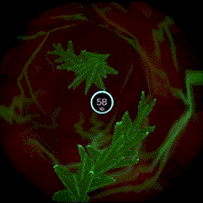 As the player is pushed down the level's tunnel, enemies go in an oncoming direction, damaging the player on collision or damaging the "host" if they make it past the player.