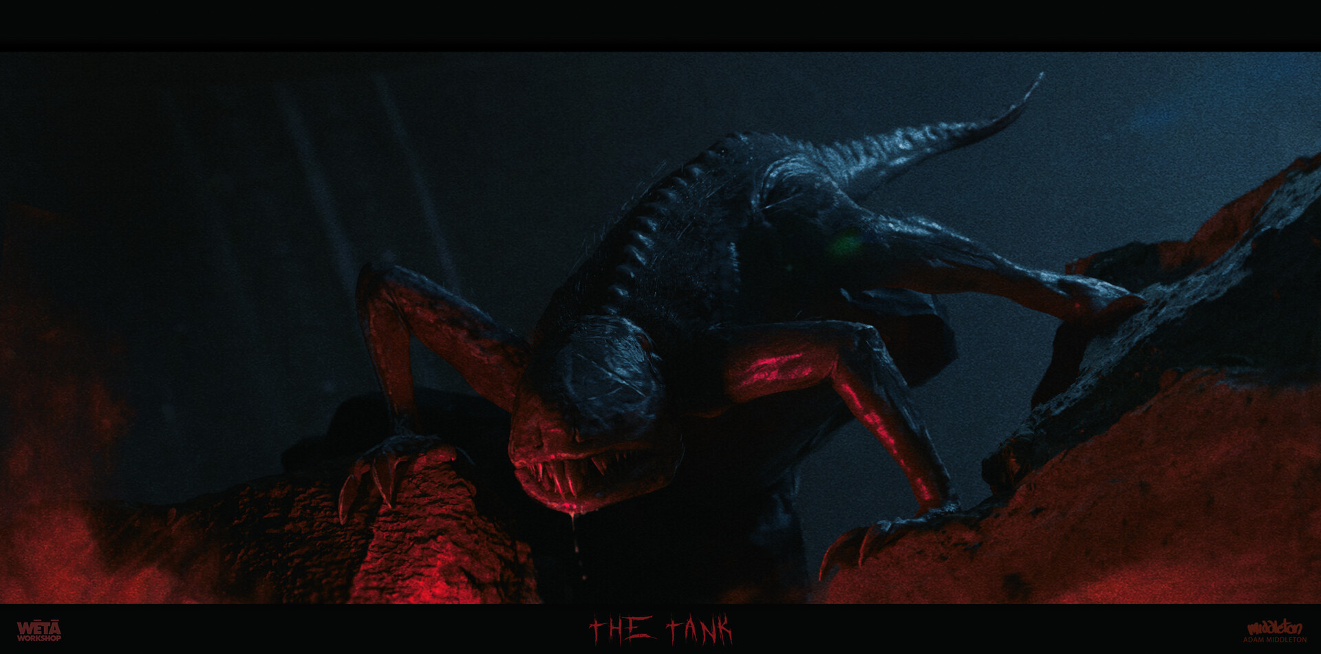 Adam J. Middleton The Tank Creature Work