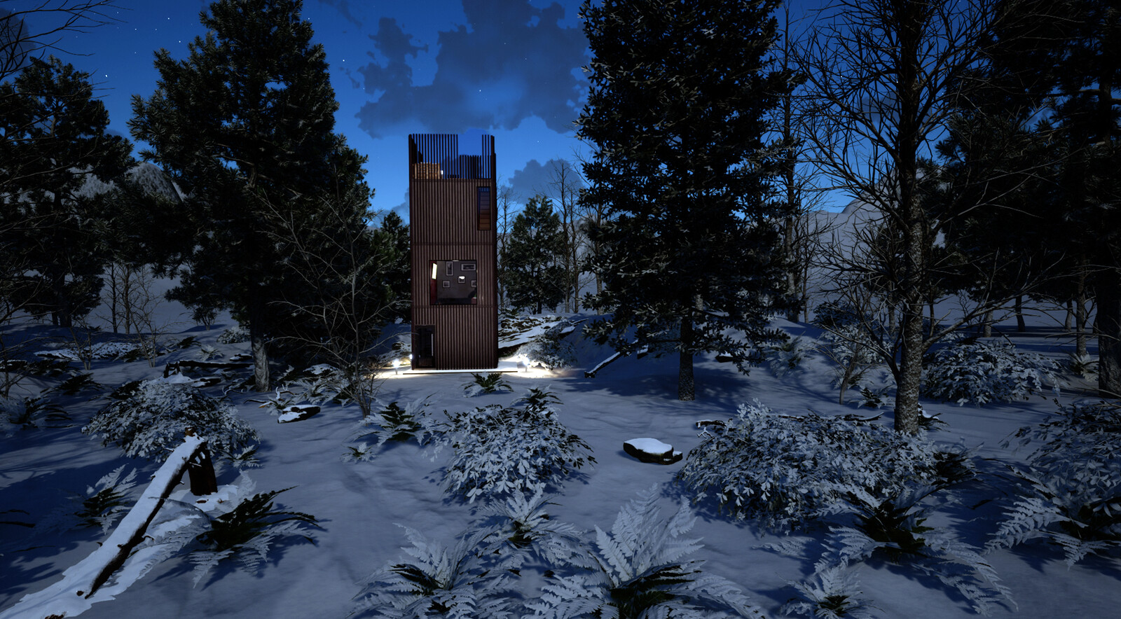 Winter during early hours