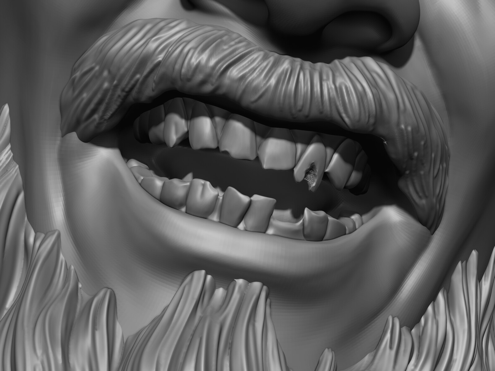 Closer view of the model
(Teeth)