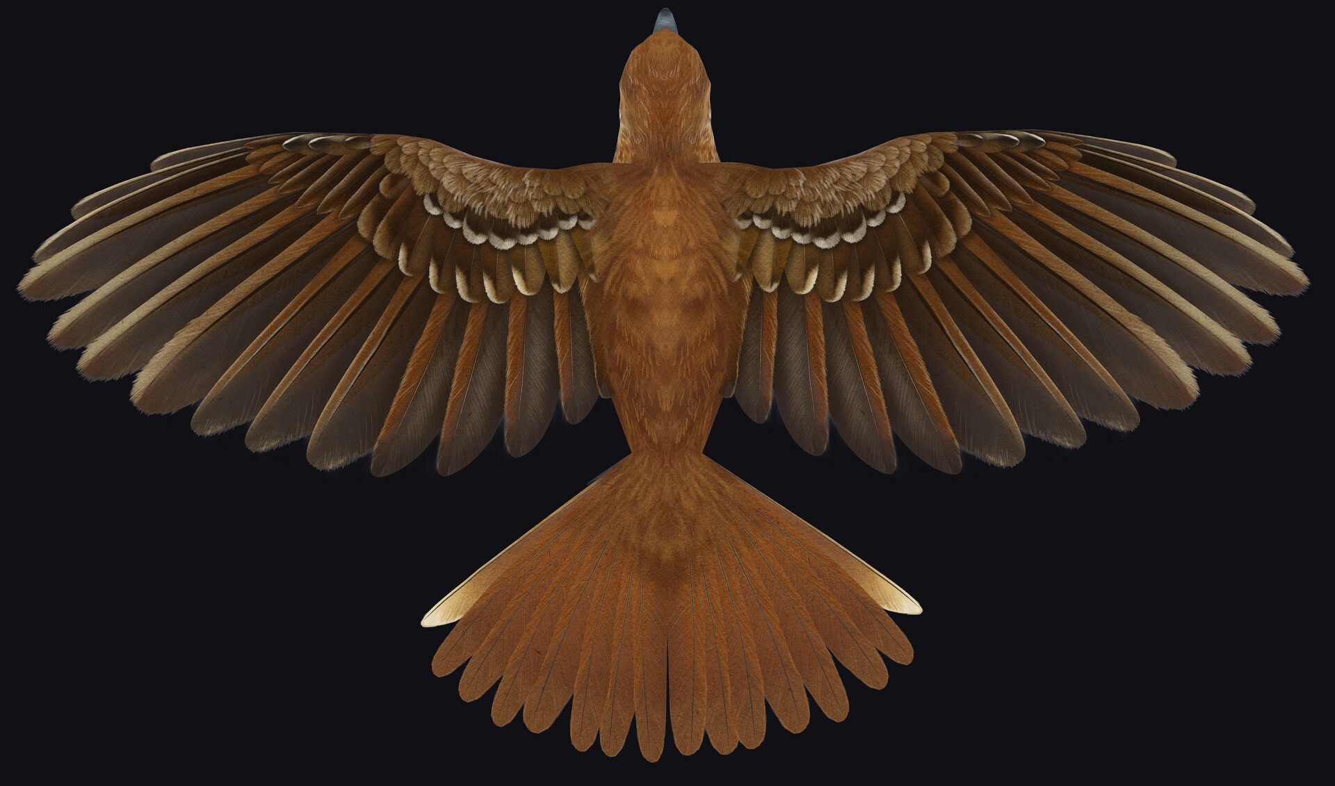 ArtStation Handpainted Krikey Birds