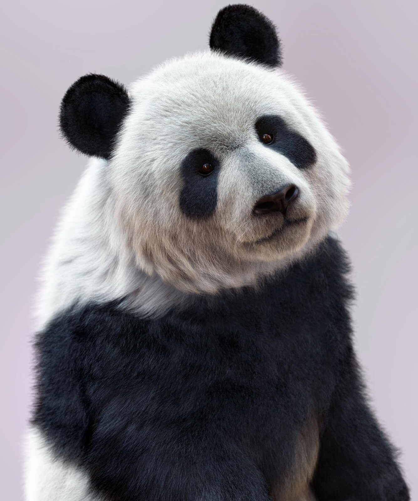 Giant Panda portrait