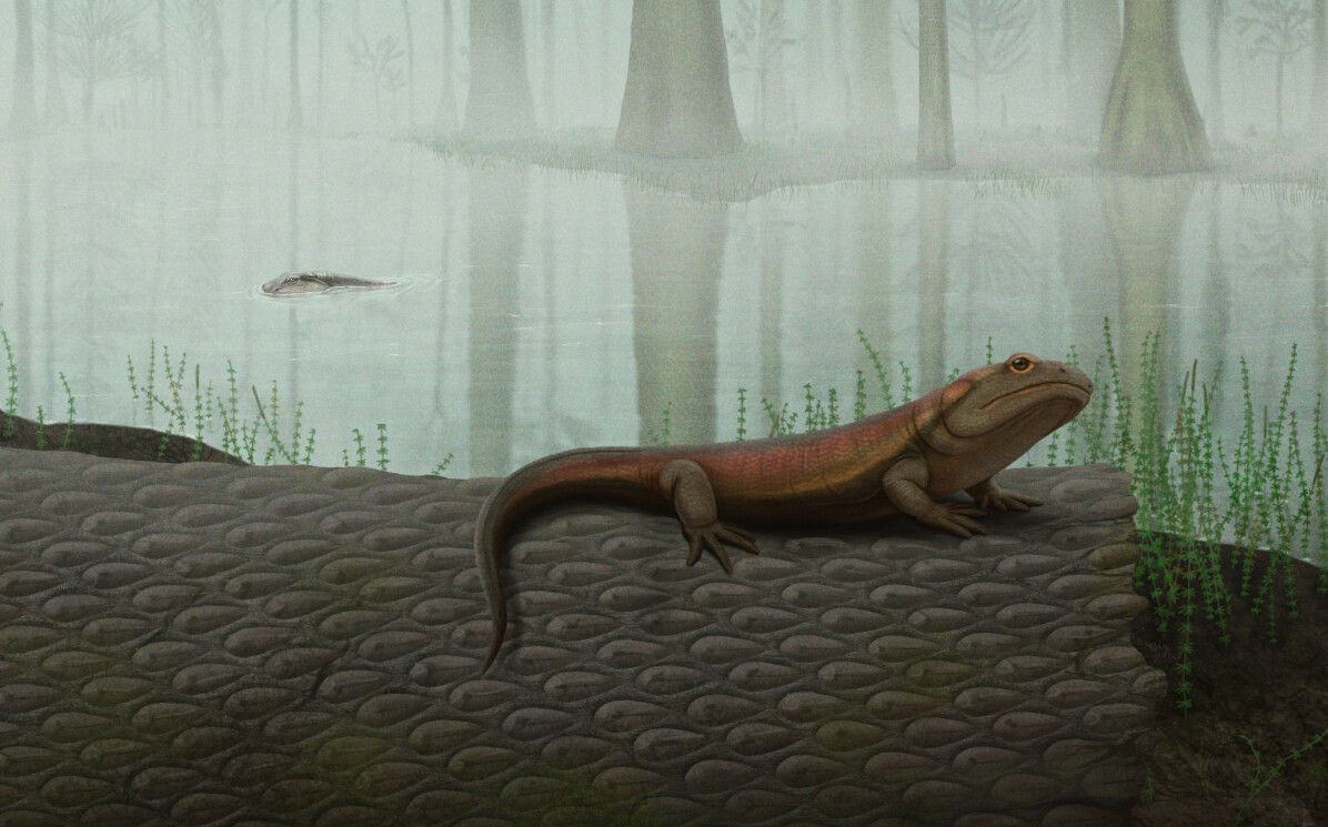  Balanerpeton and Crassigyrinus