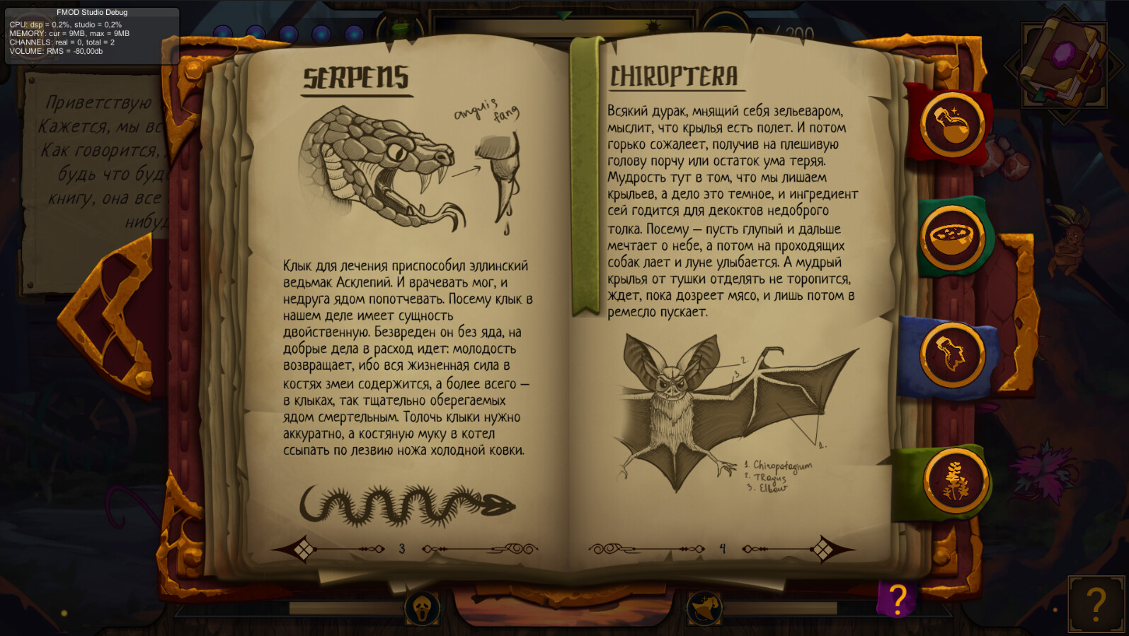 �����������