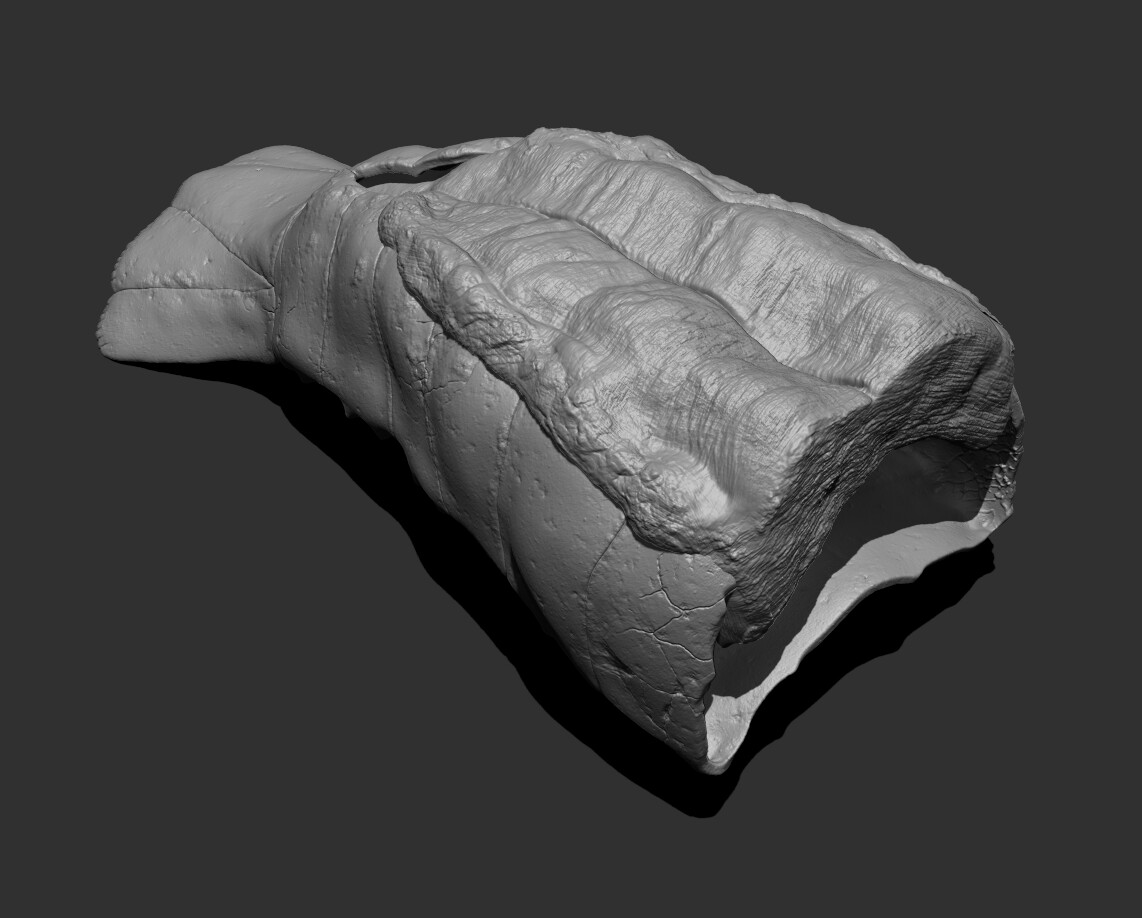 Zbrush_Lobster